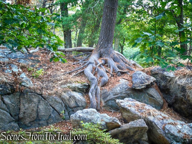 Appalachian Trail - Bear Mountain Summit
