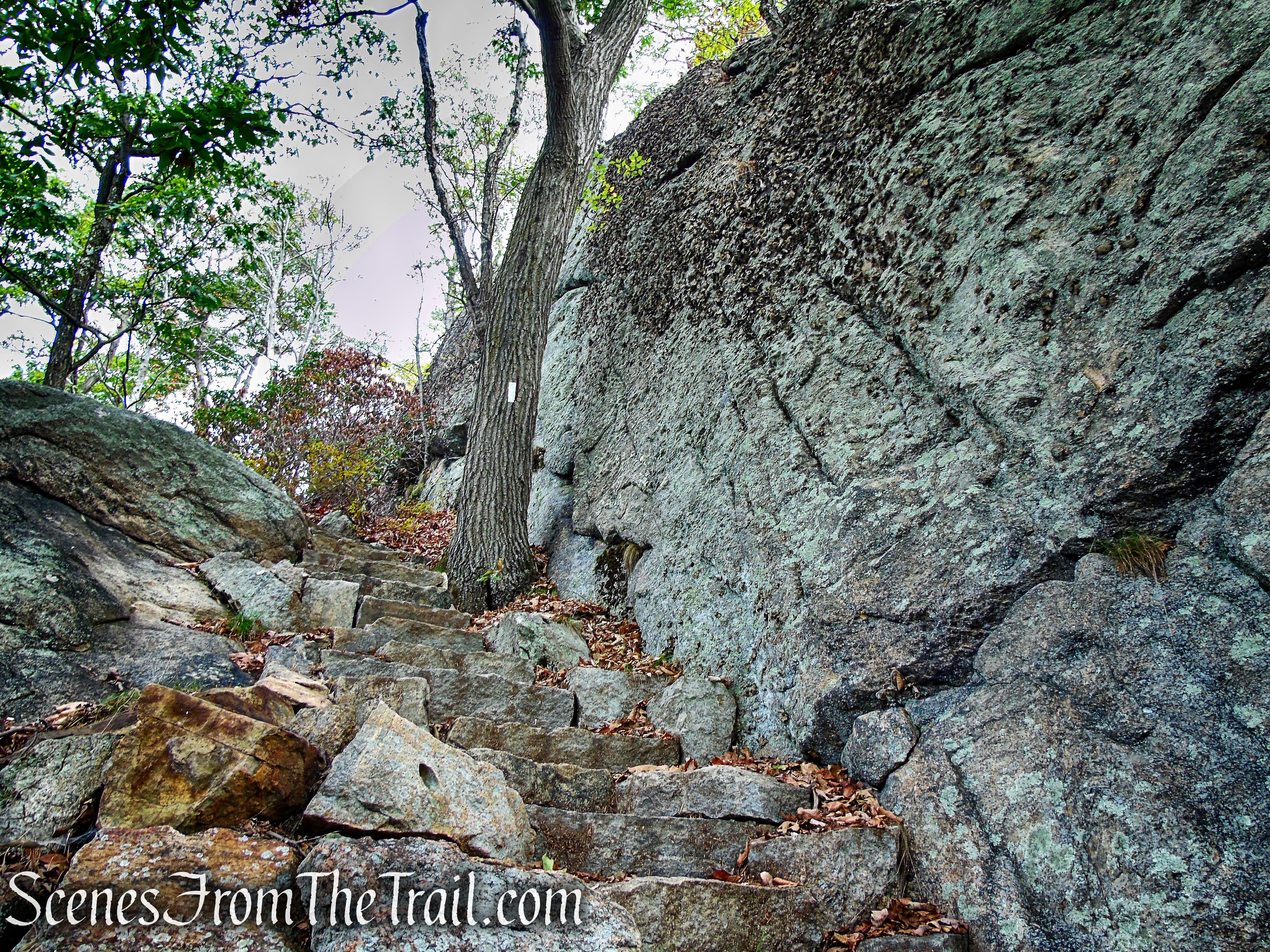 Appalachian Trail - Bear Mountain