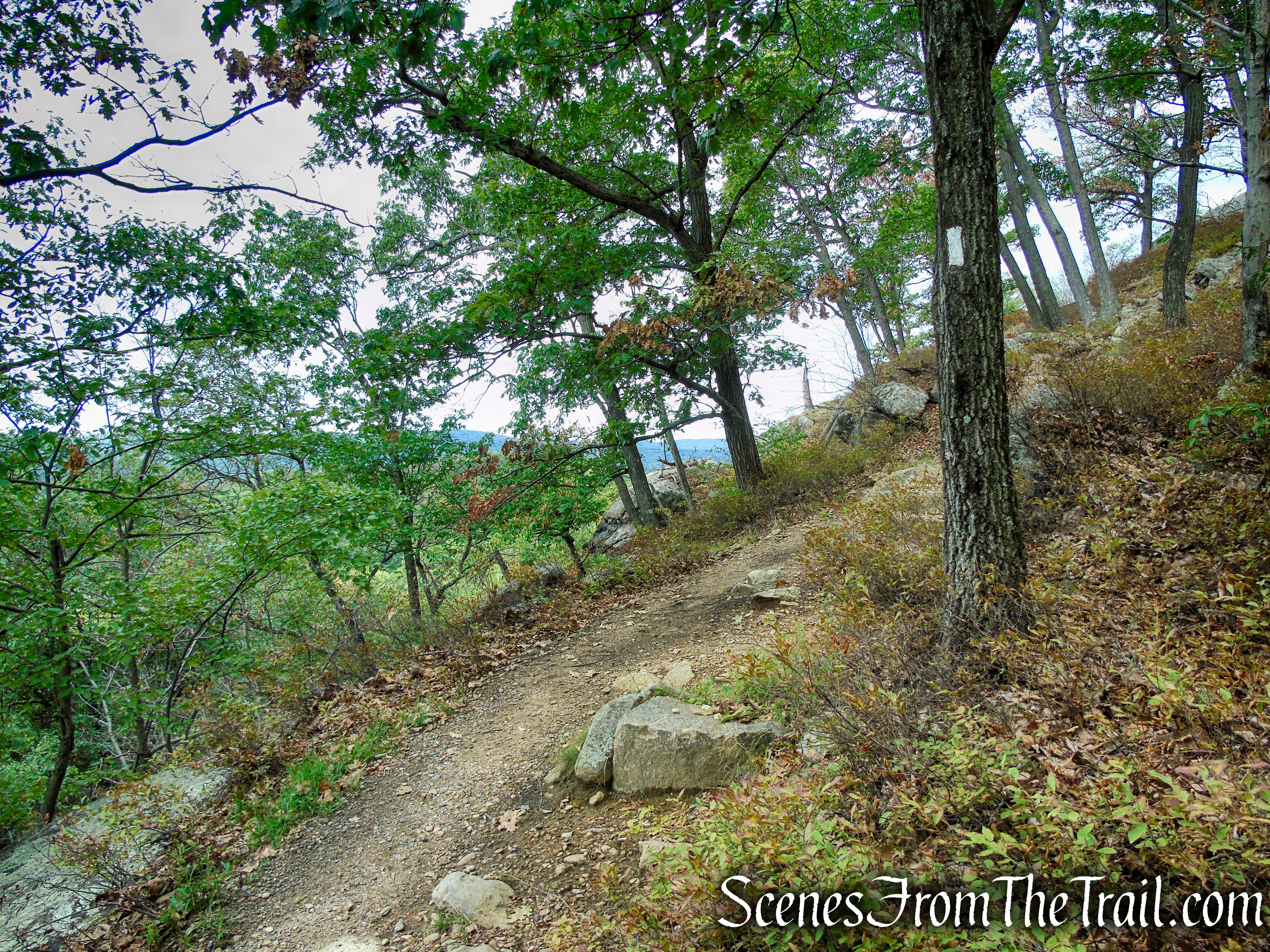 Appalachian Trail - Bear Mountain