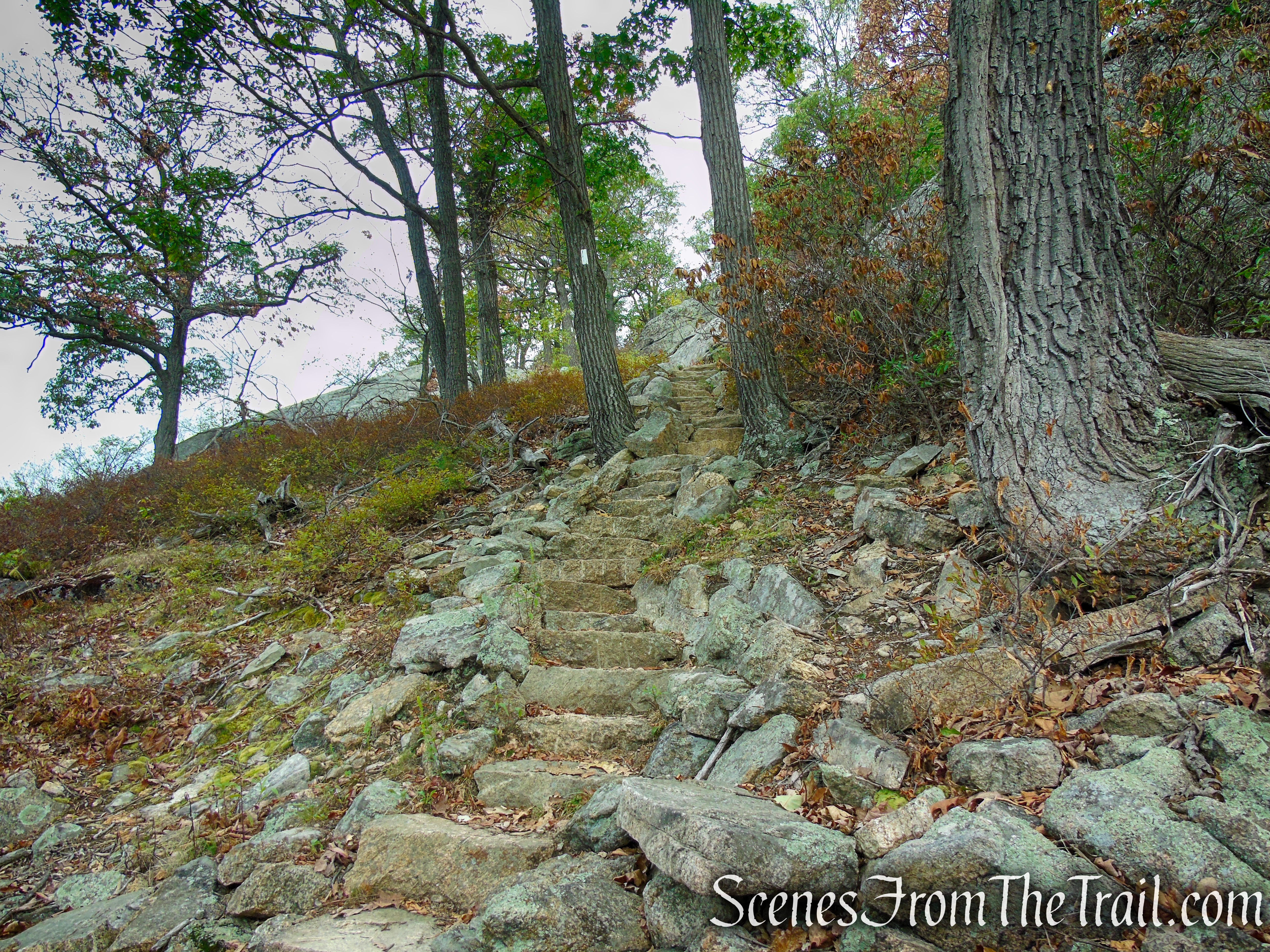 Appalachian Trail - Bear Mountain