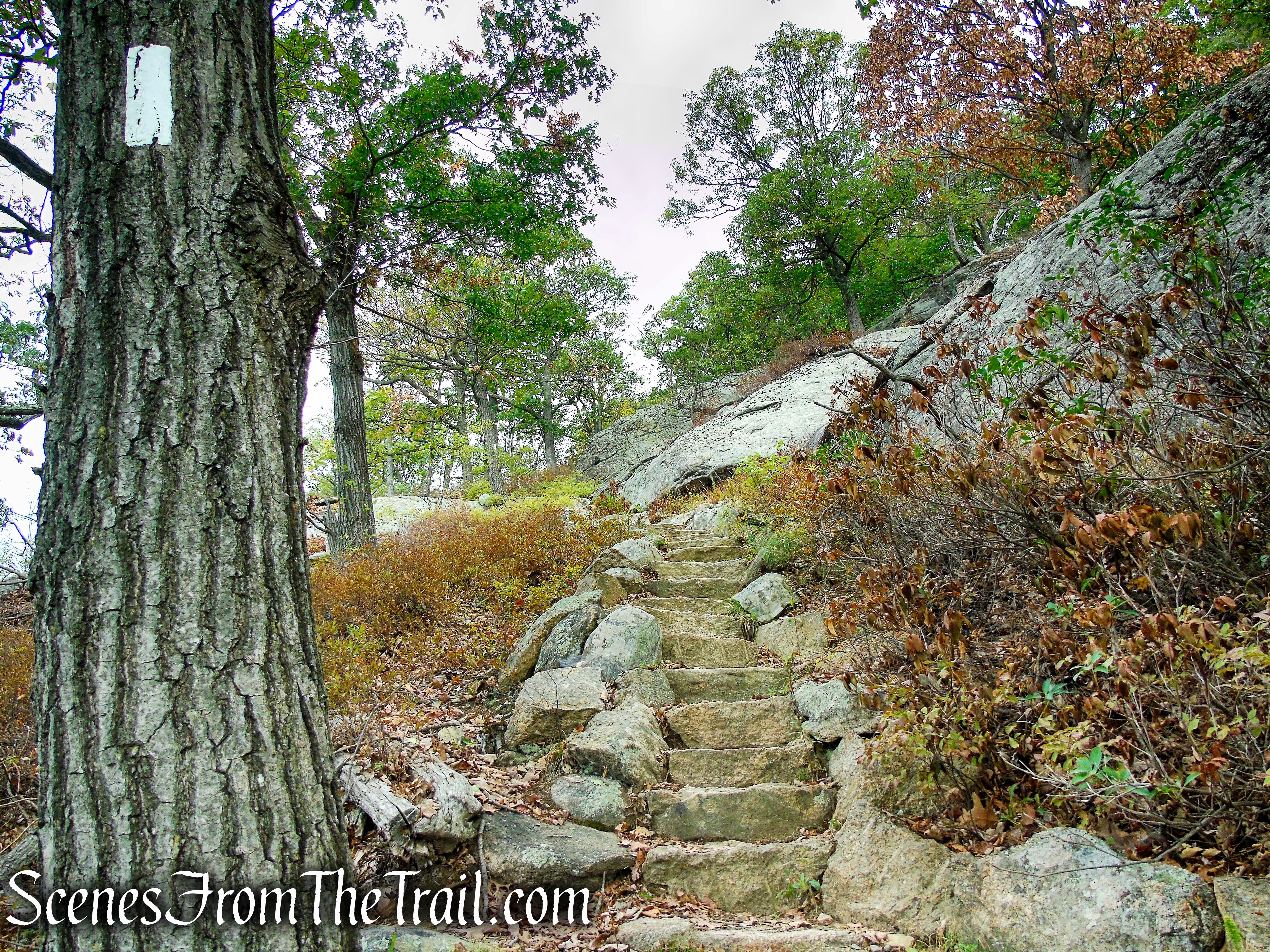 Appalachian Trail - Bear Mountain