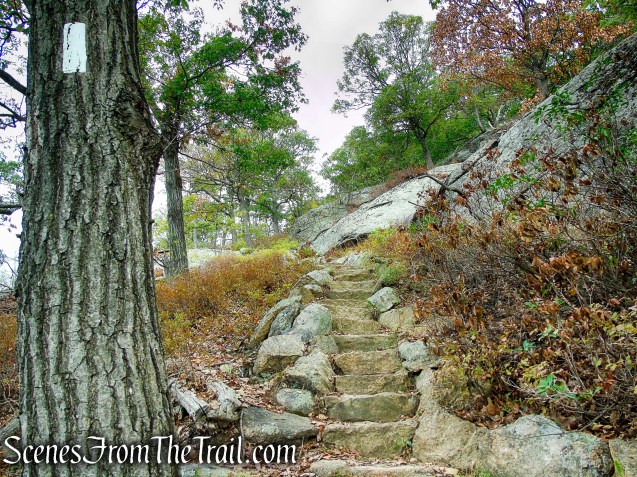 Appalachian Trail - Bear Mountain