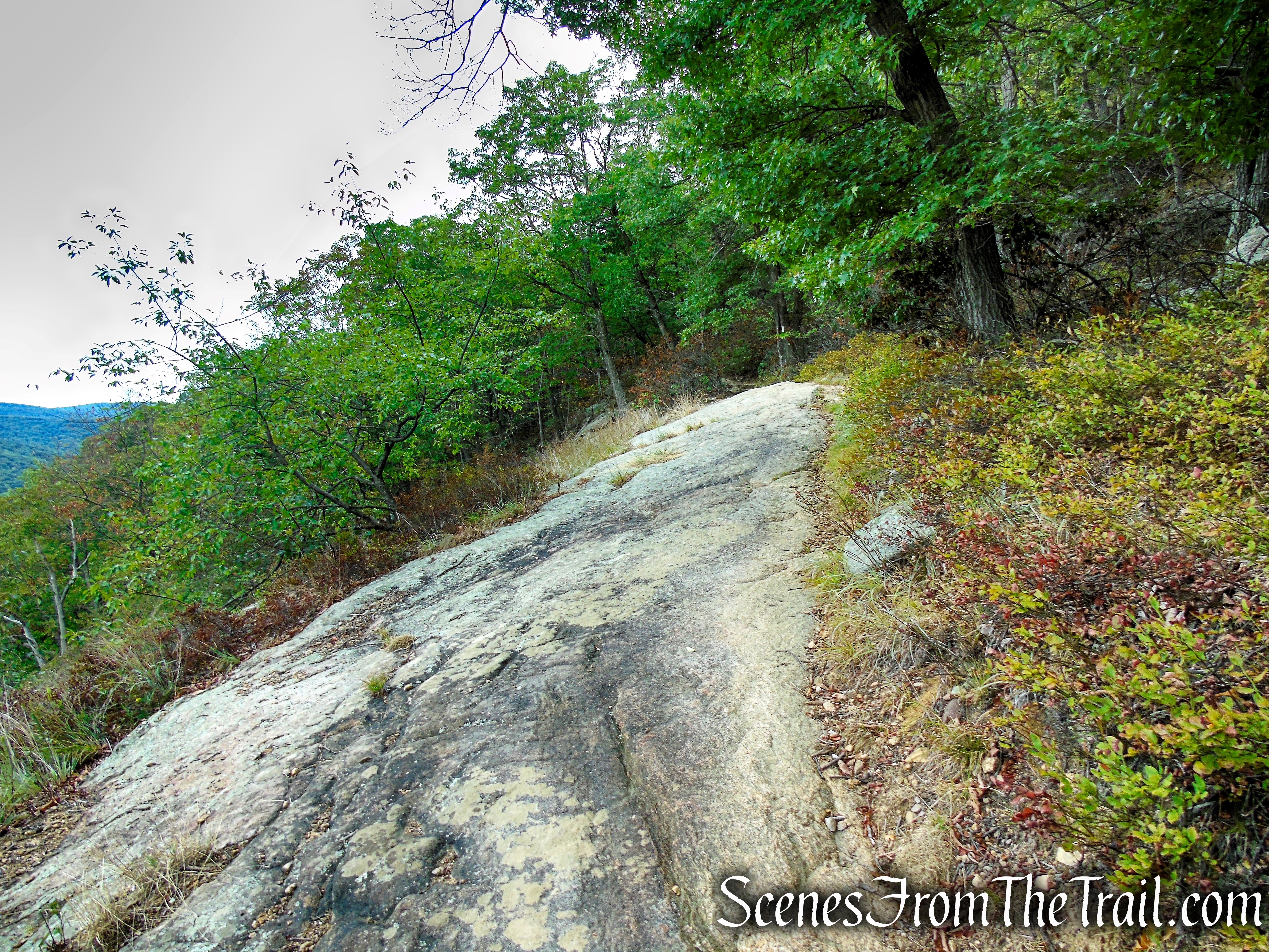 Appalachian Trail - Bear Mountain