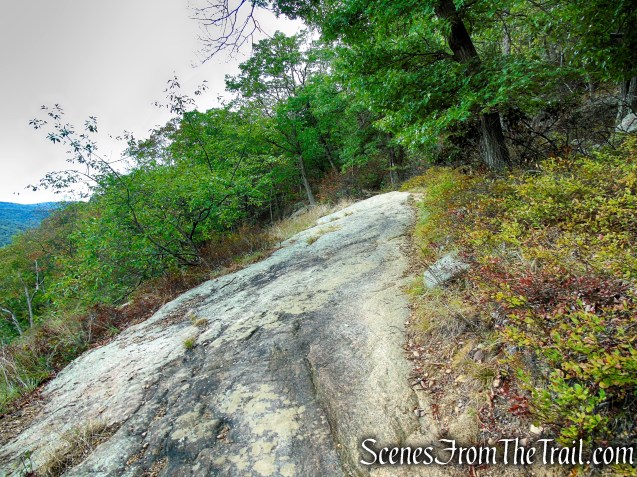 Appalachian Trail - Bear Mountain