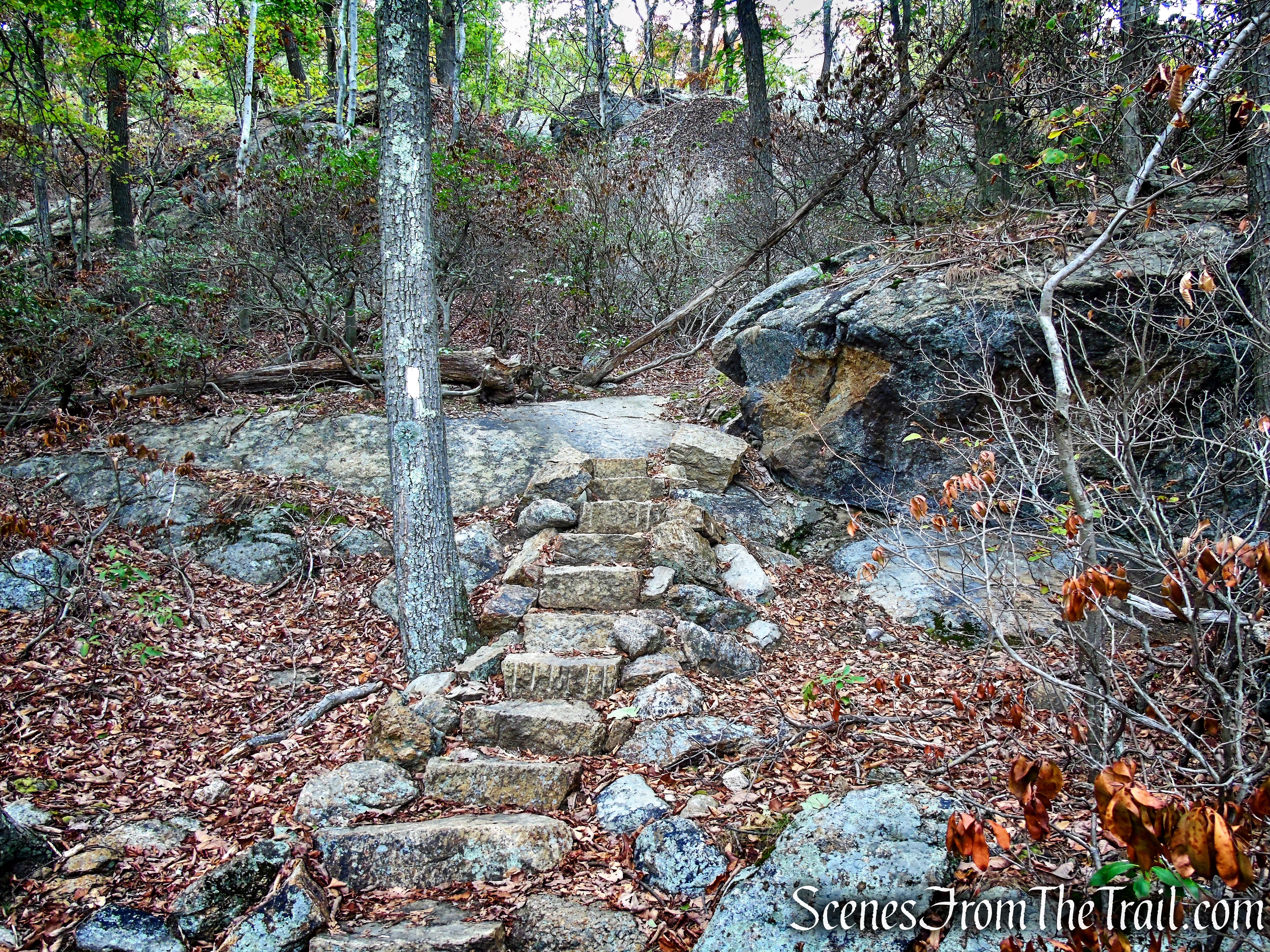 Appalachian Trail - Bear Mountain