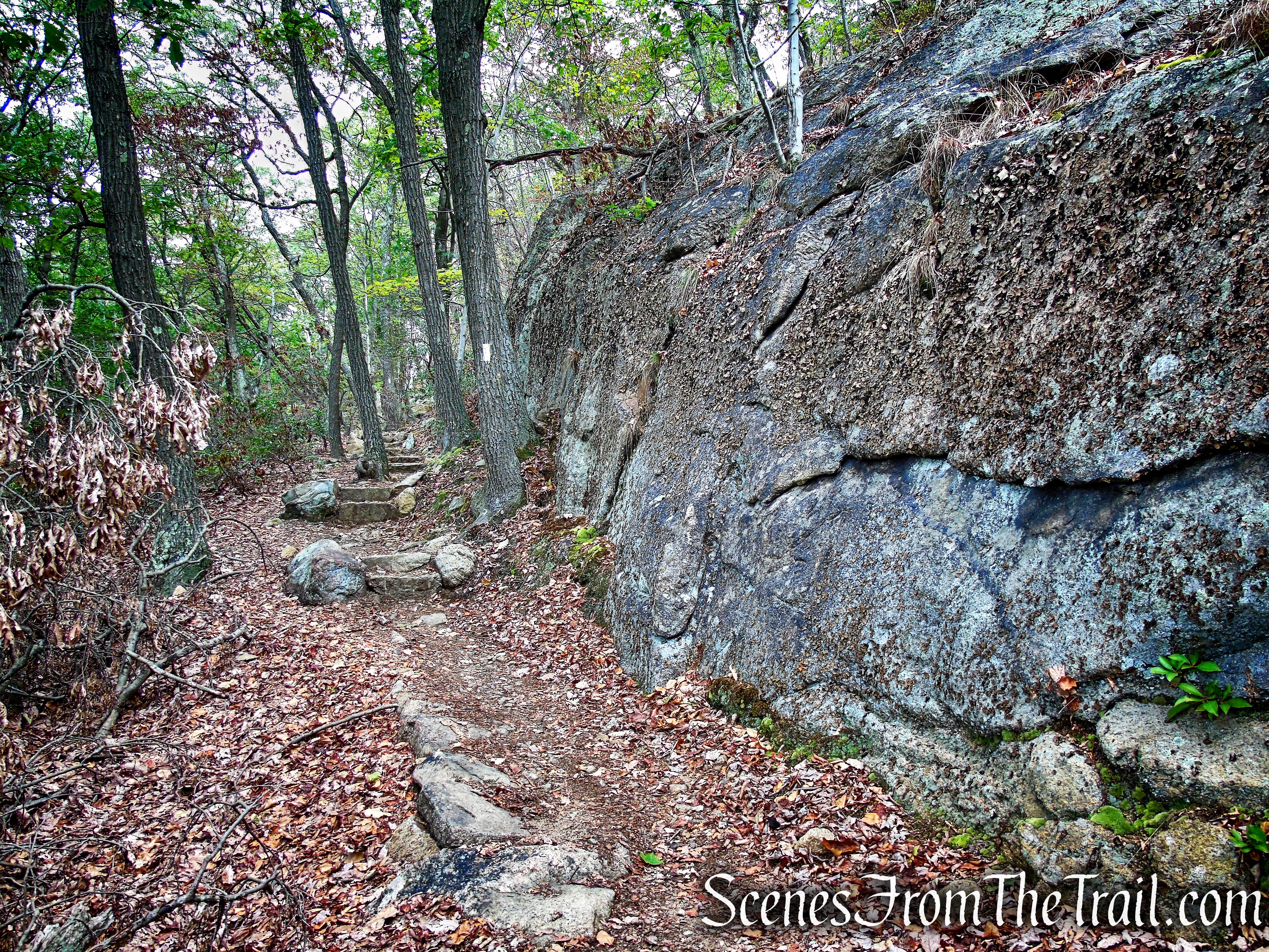 Appalachian Trail - Bear Mountain