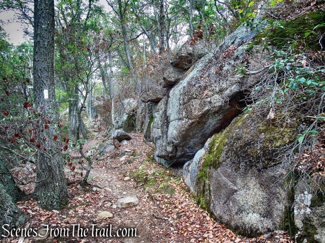 Appalachian Trail - Bear Mountain