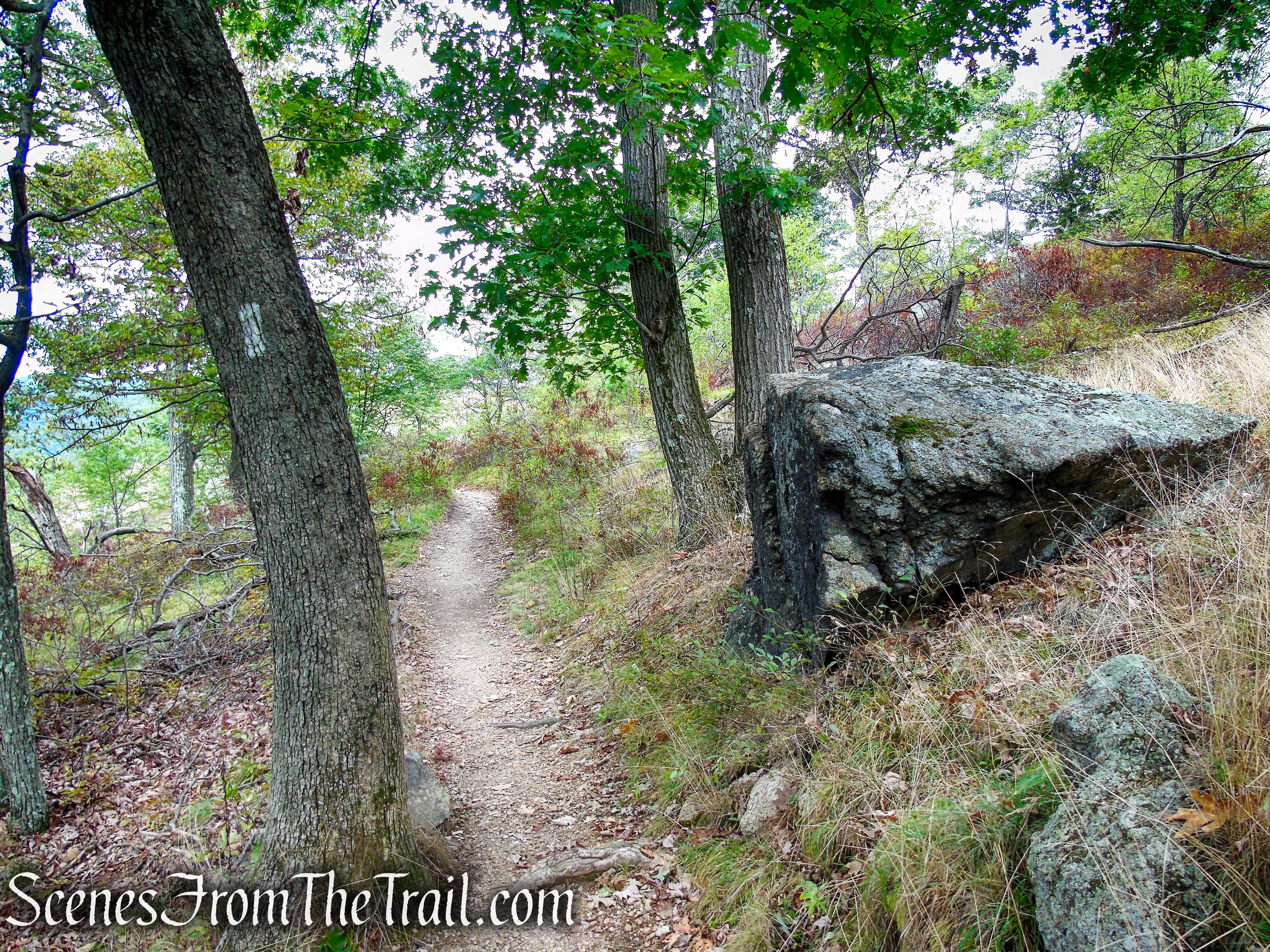 Appalachian Trail - Bear Mountain