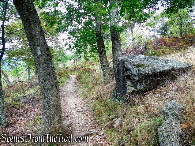 Appalachian Trail - Bear Mountain
