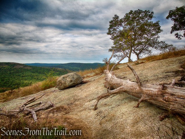 Appalachian Trail - Bear Mountain