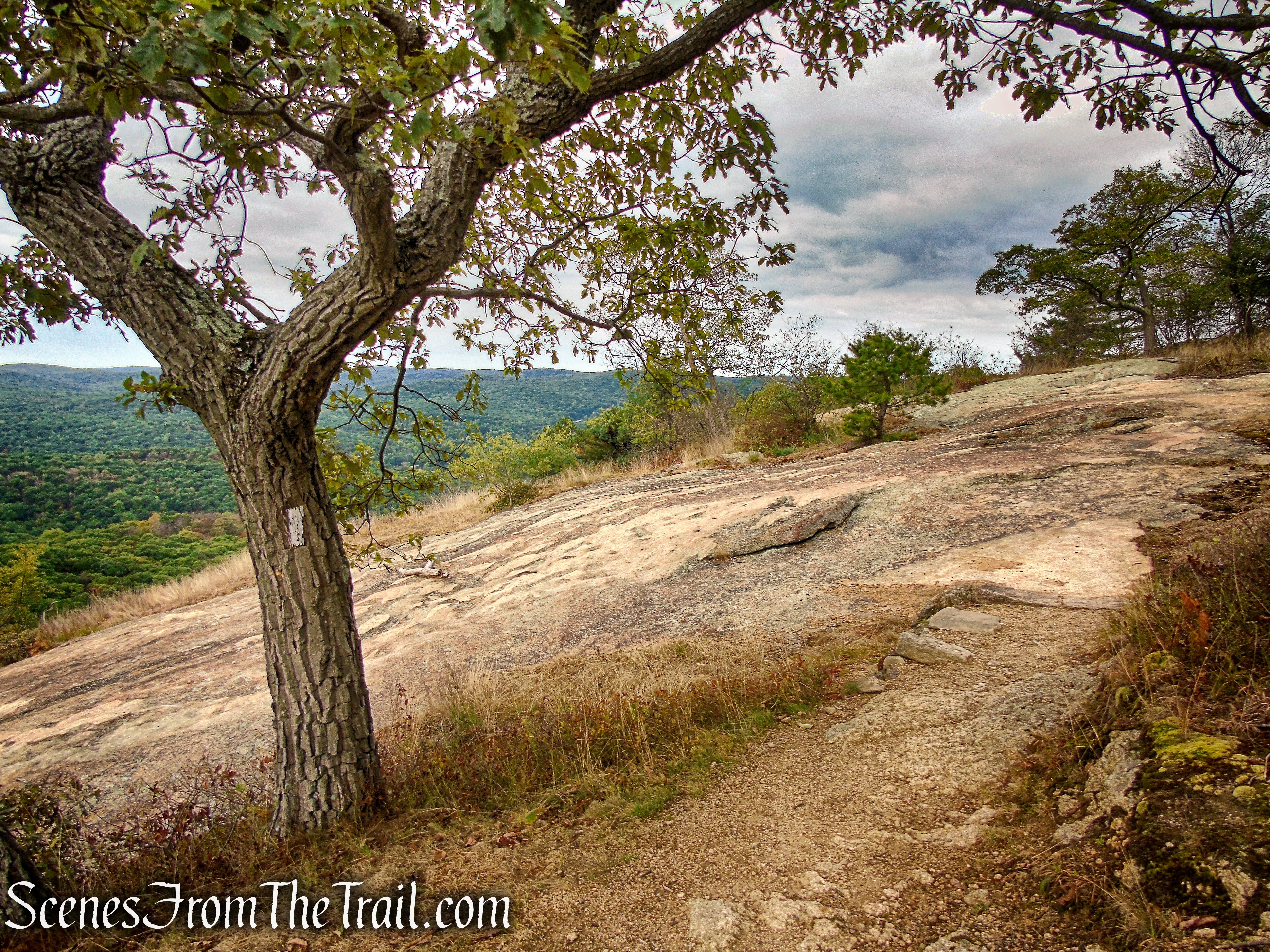 Appalachian Trail - Bear Mountain