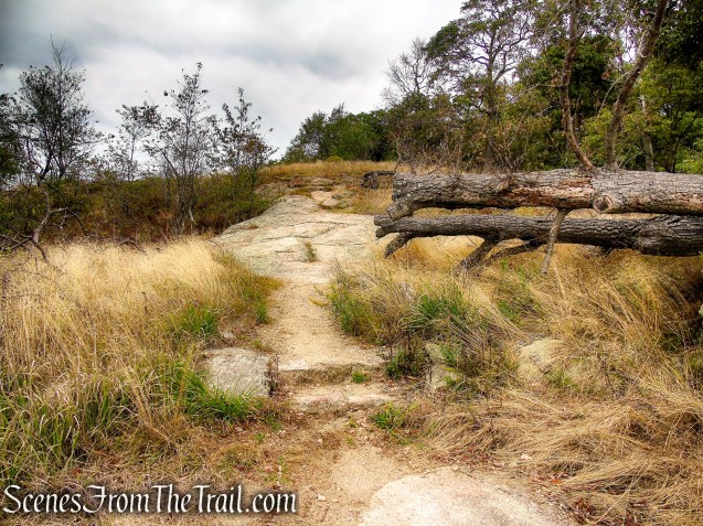 Appalachian Trail - Bear Mountain