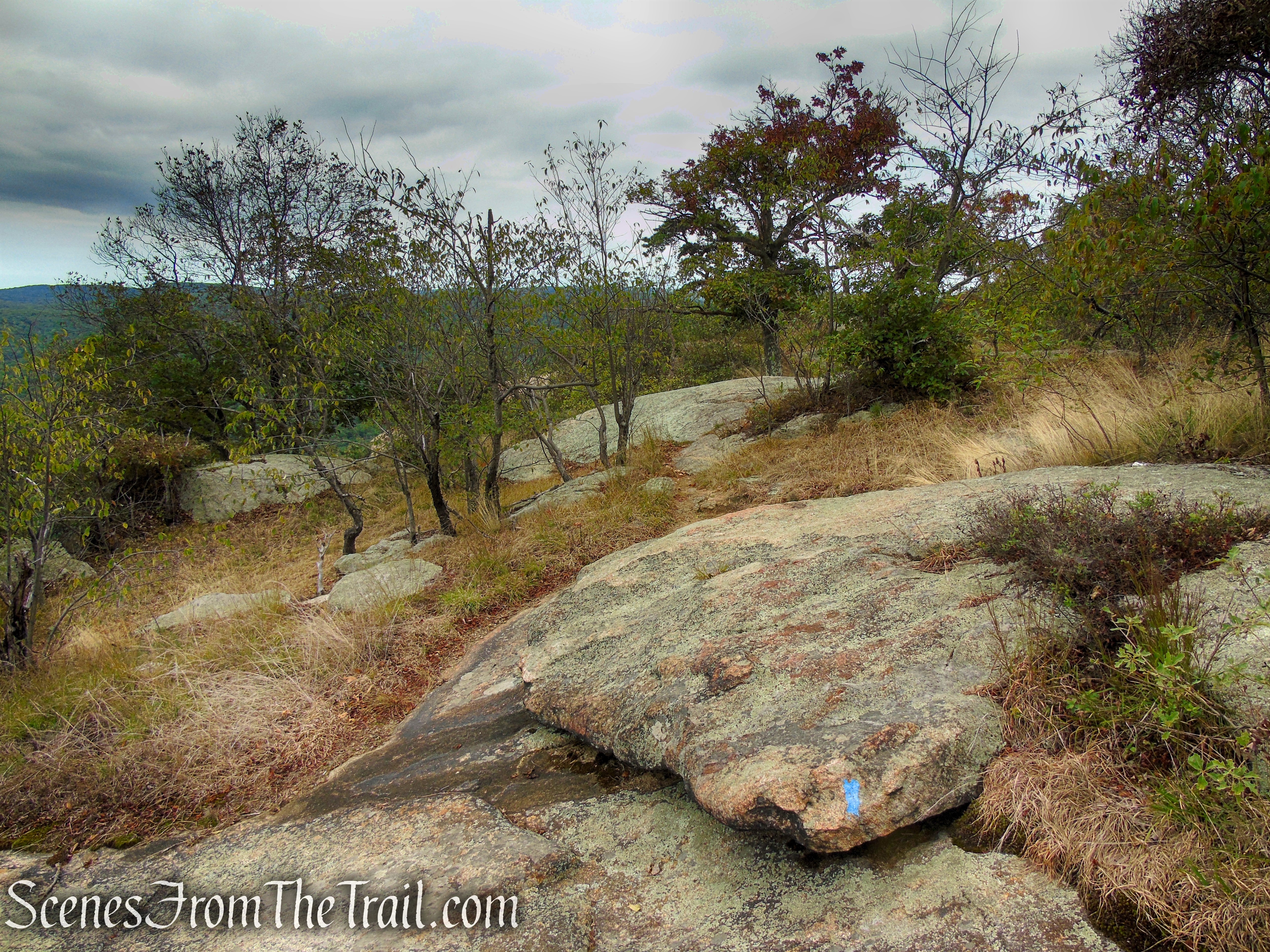 Blue Spur Trail - Bear Mountain