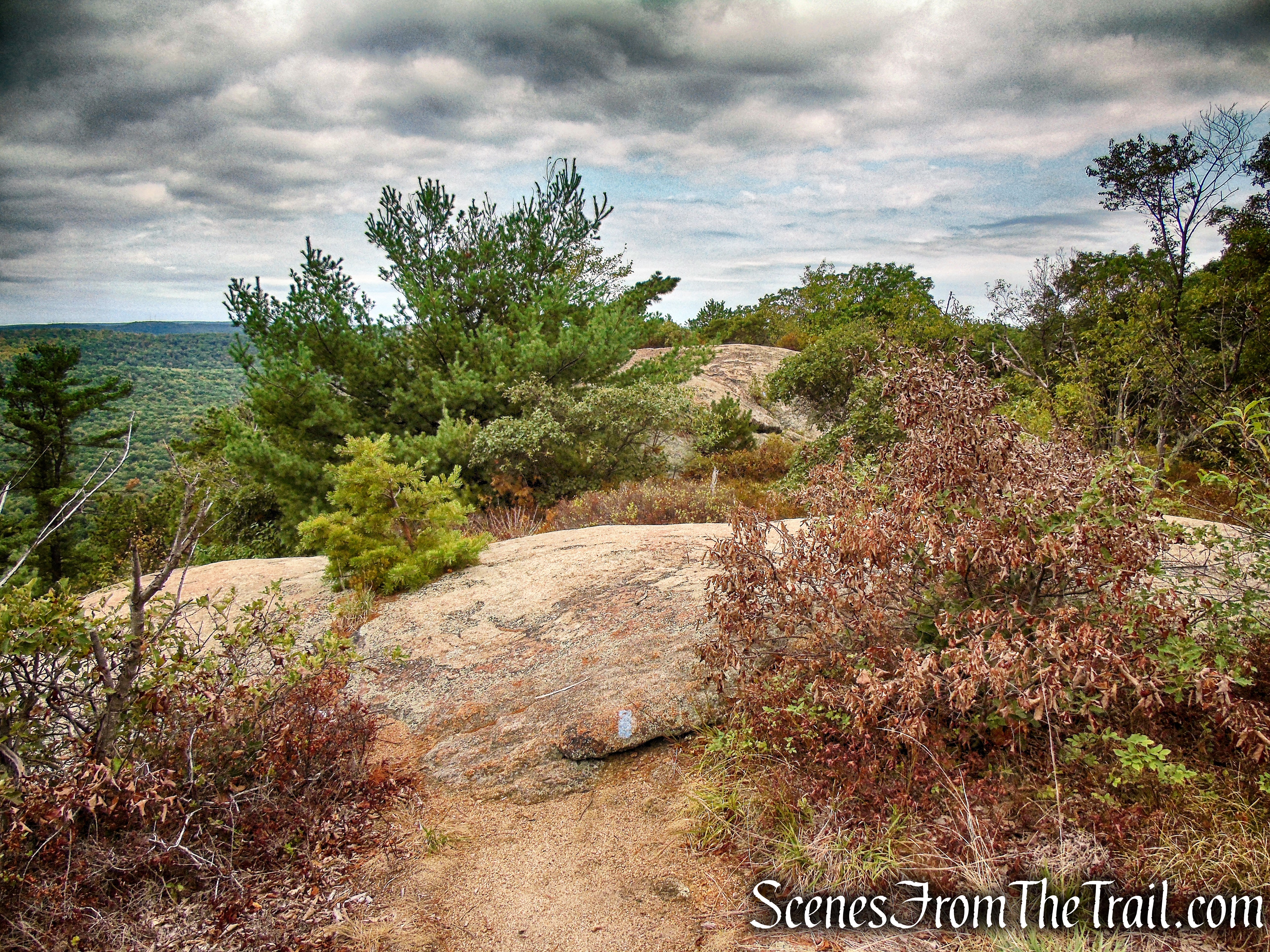 Blue Spur Trail - Bear Mountain
