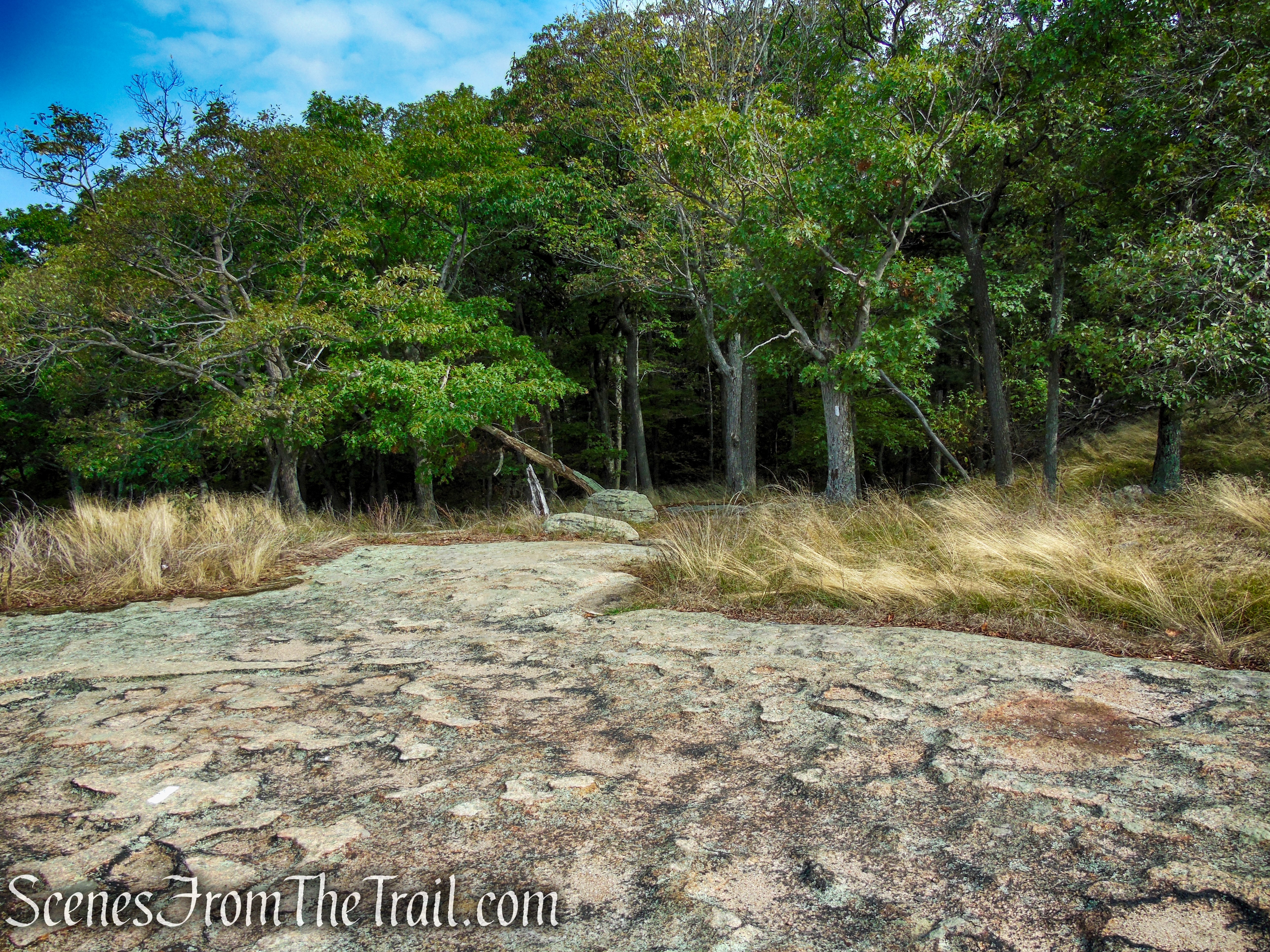 Appalachian Trail – Bear Mountain