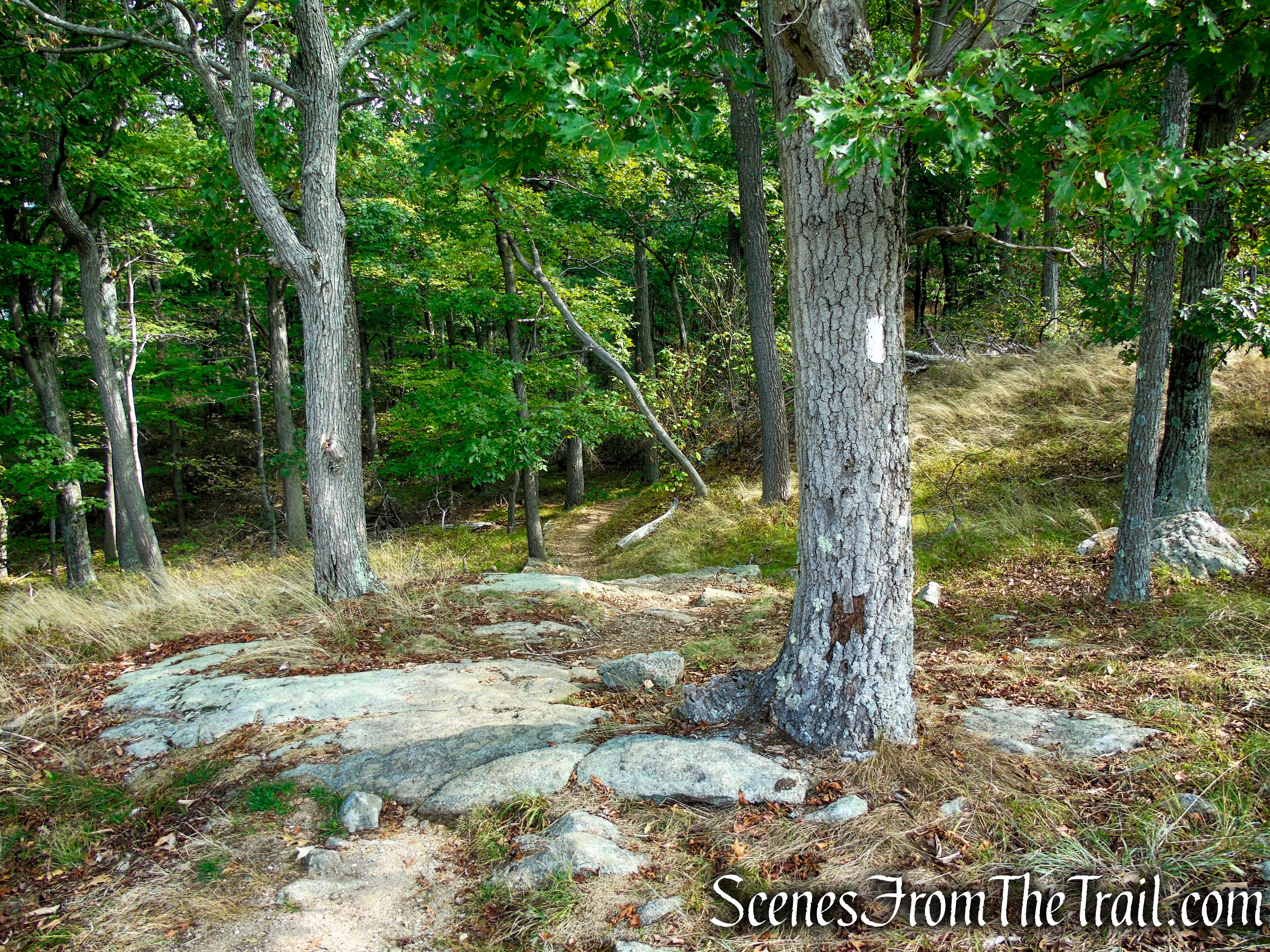 Appalachian Trail – Bear Mountain