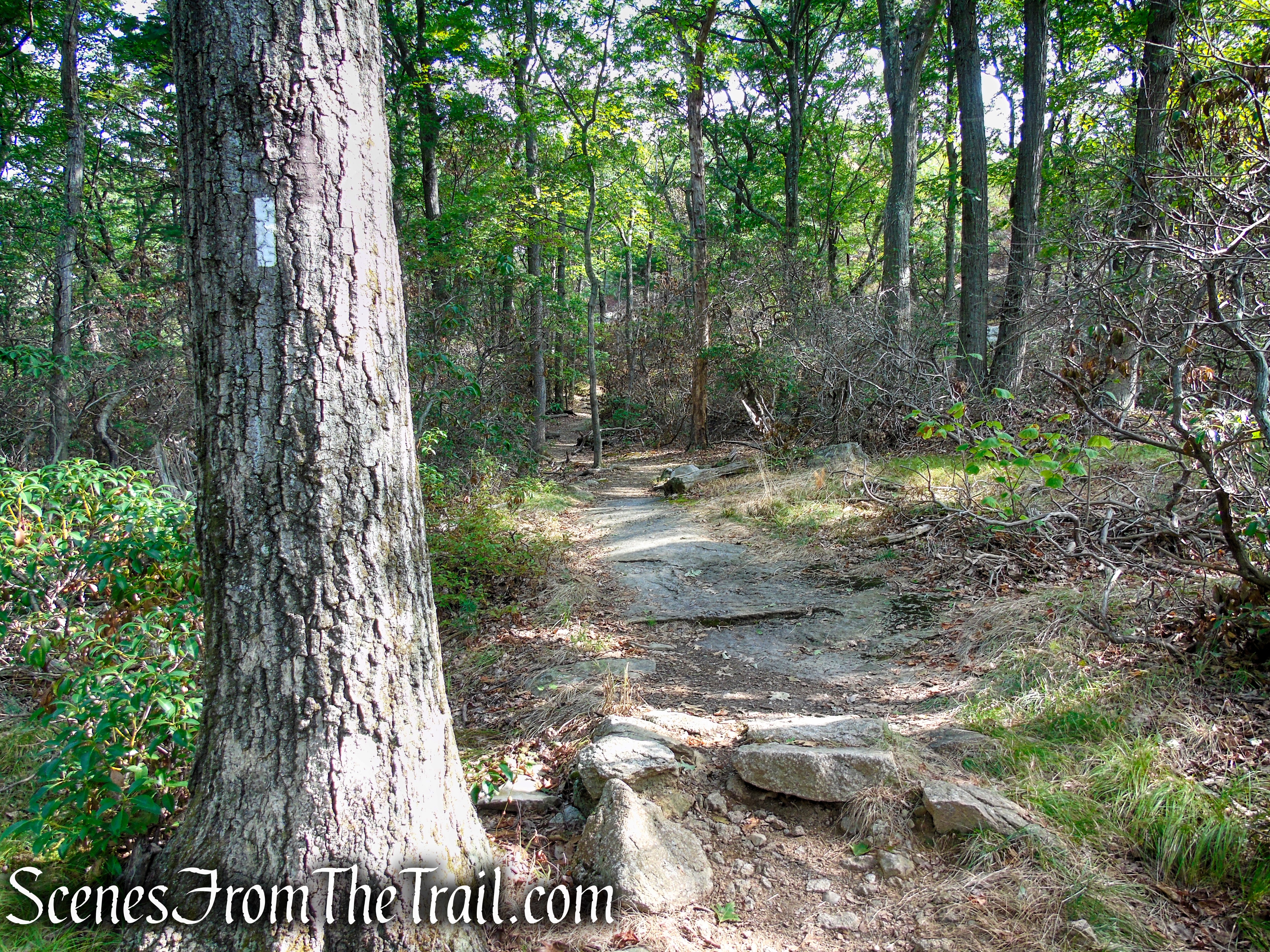 Appalachian Trail – Bear Mountain