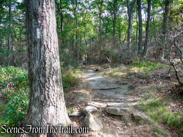 Appalachian Trail – Bear Mountain