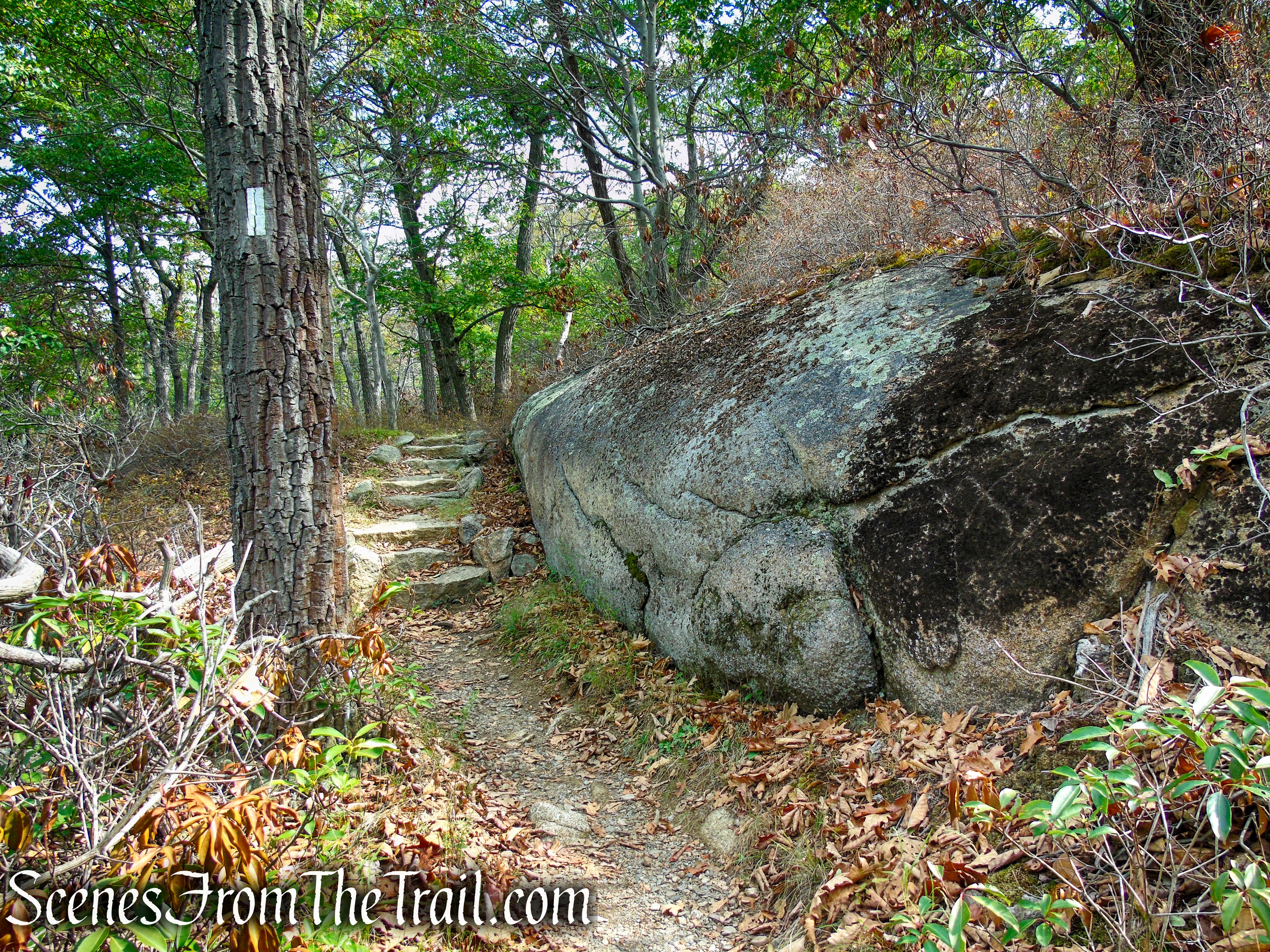 Appalachian Trail – Bear Mountain