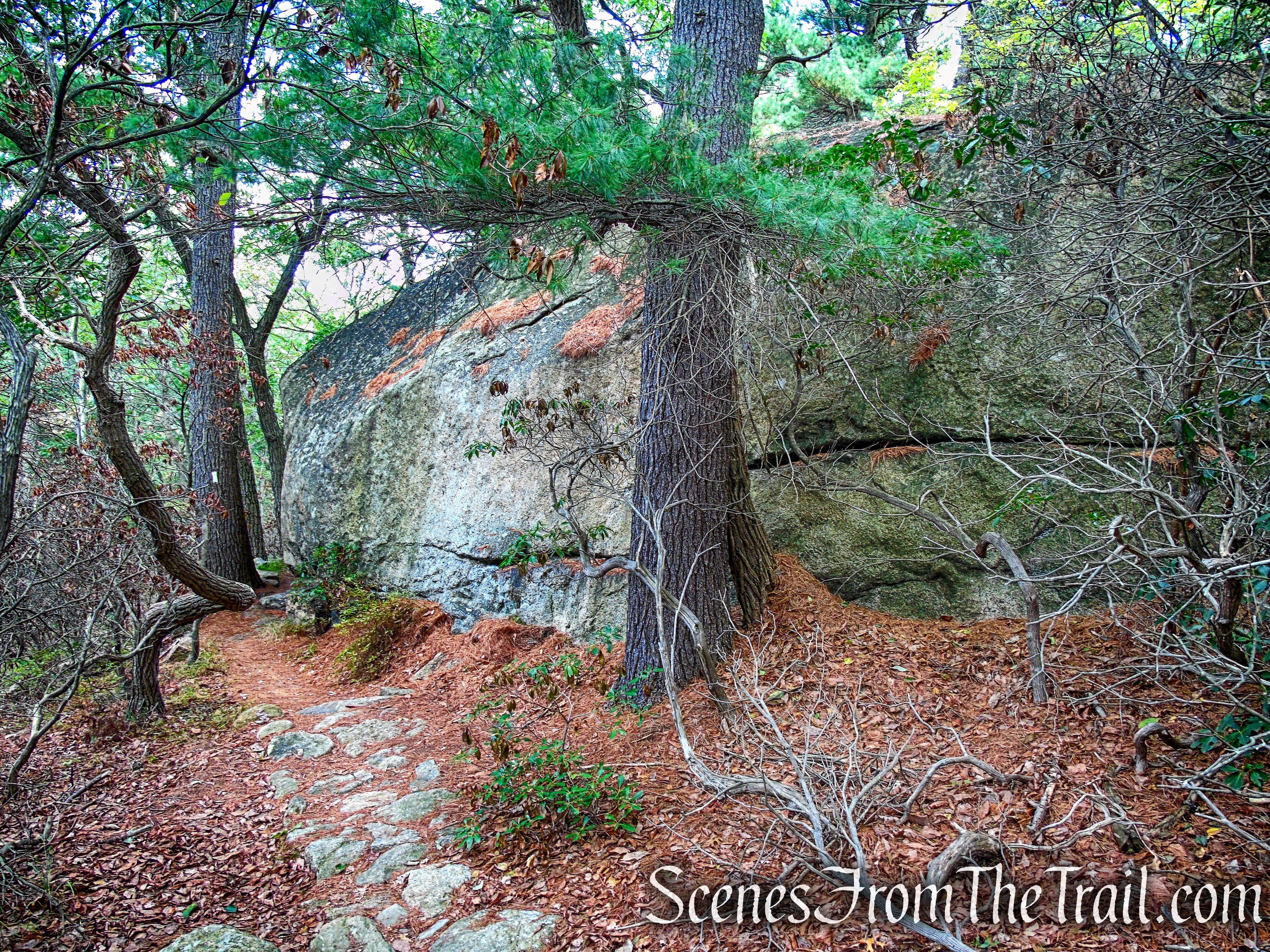 Appalachian Trail – Bear Mountain