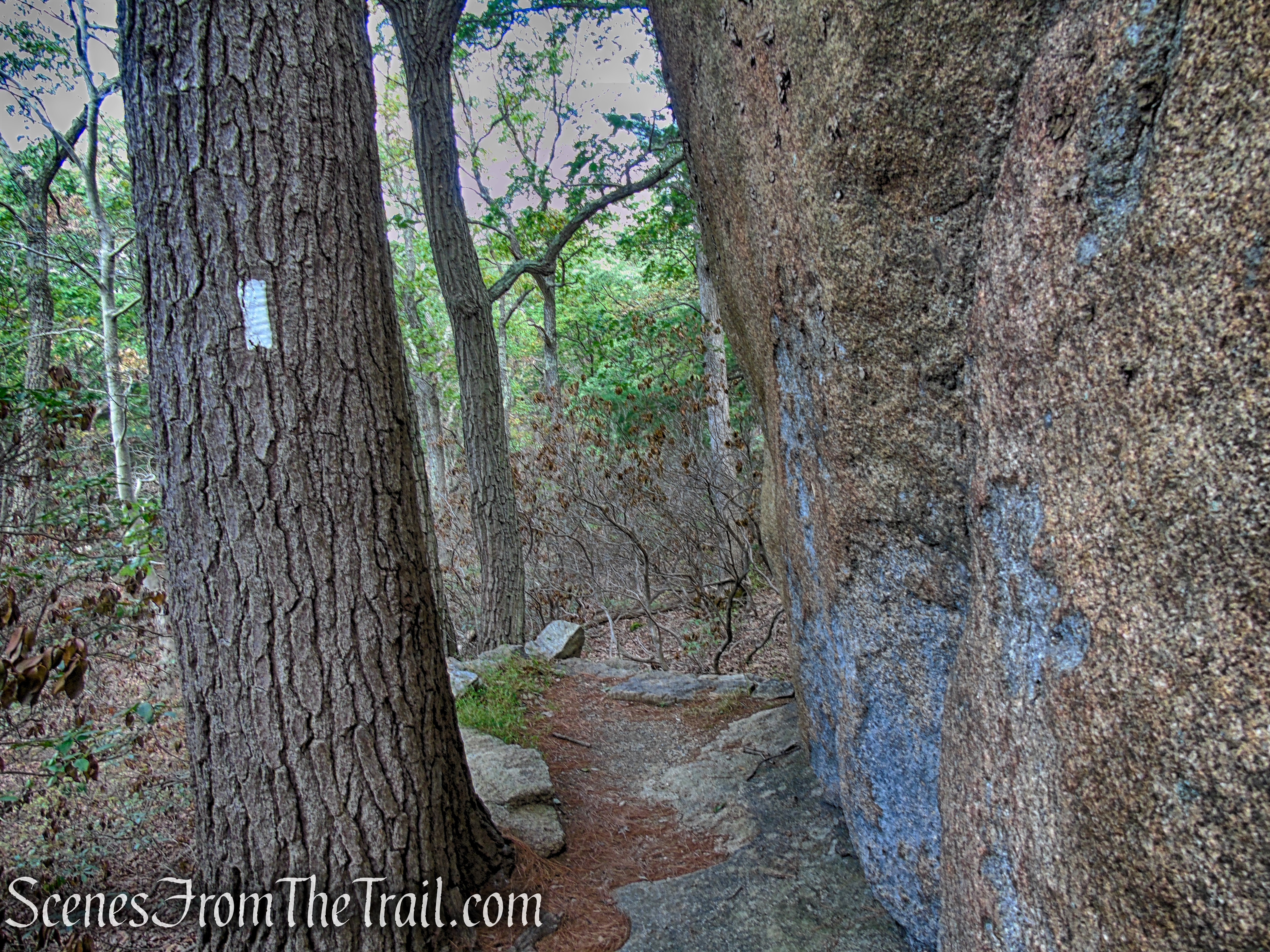 Appalachian Trail – Bear Mountain