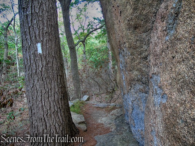 Appalachian Trail – Bear Mountain