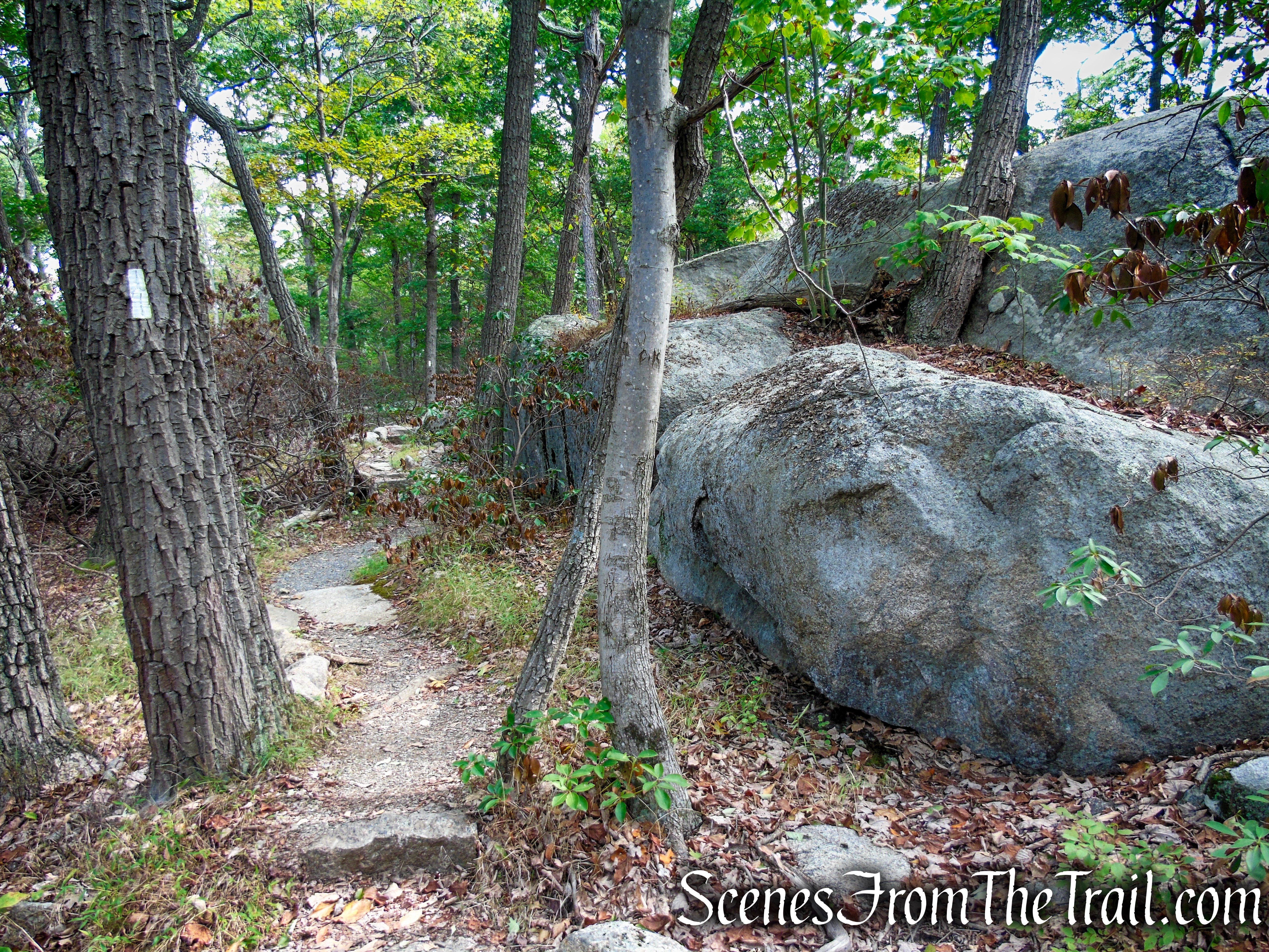 Appalachian Trail – Bear Mountain