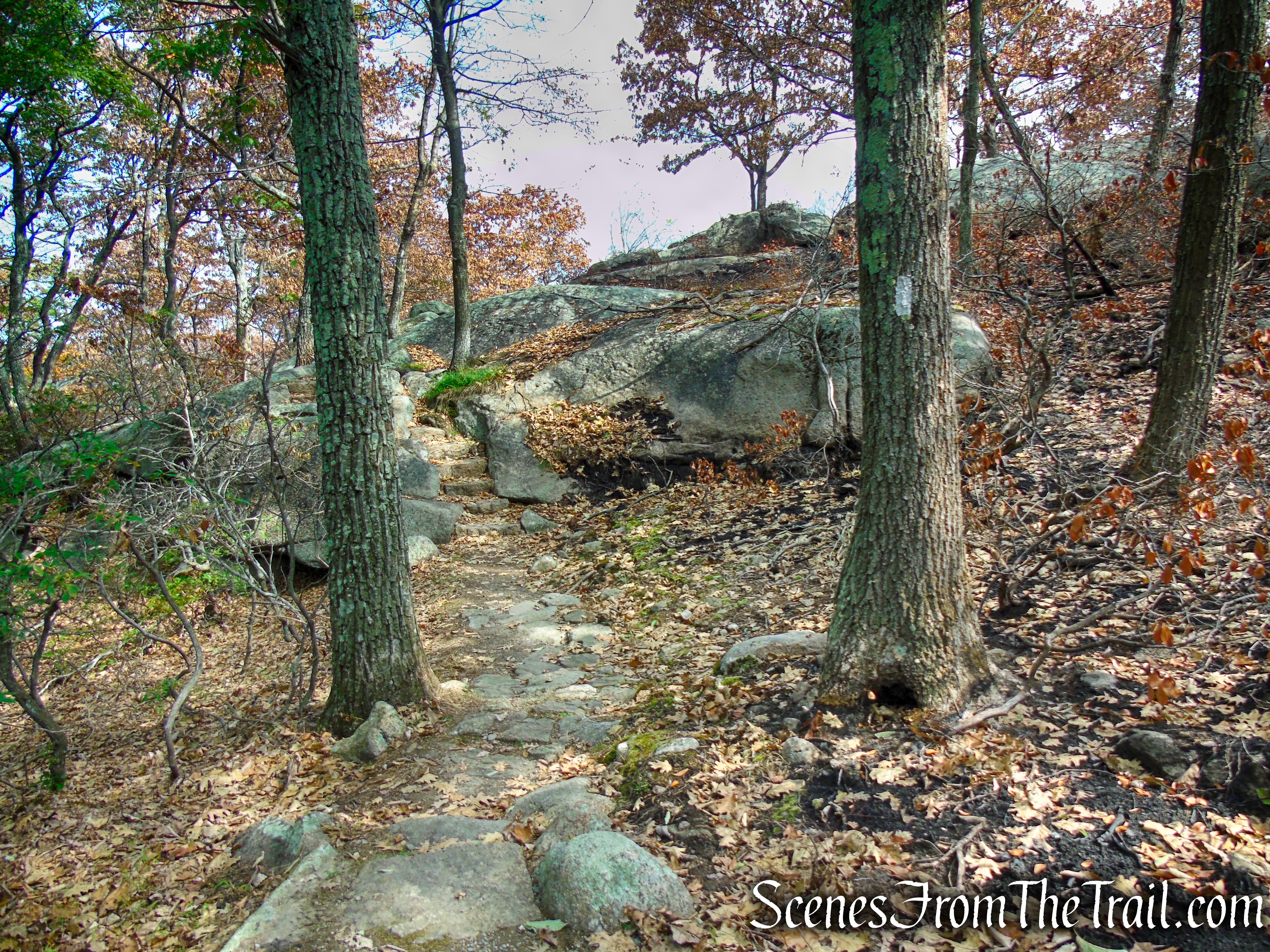 Appalachian Trail – Bear Mountain