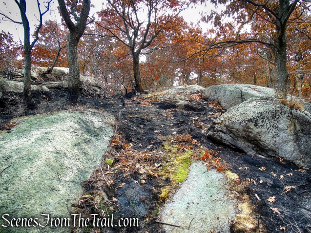 Appalachian Trail – Bear Mountain