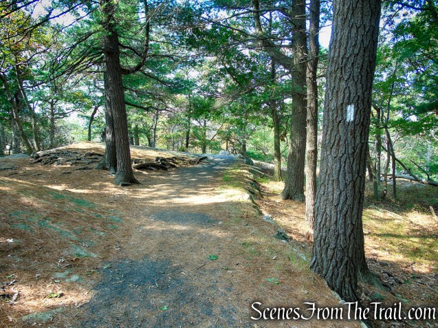 ADA Compliant Appalachian Trail – Bear Mountain