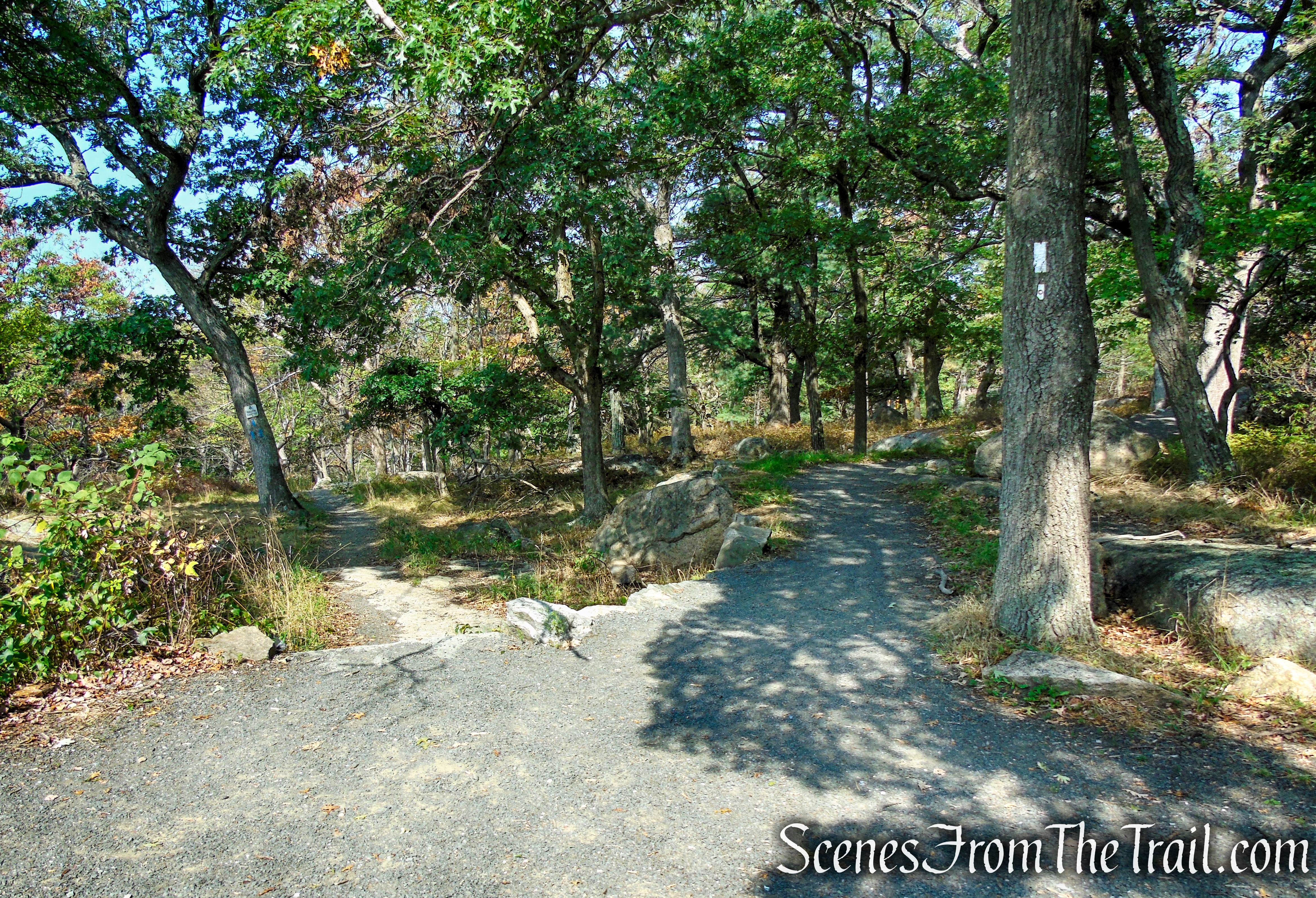A.T. Trailhead - Bear Mountain summit