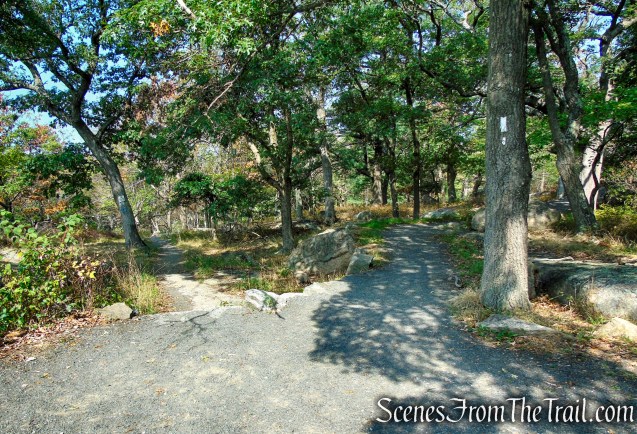 A.T. Trailhead - Bear Mountain summit