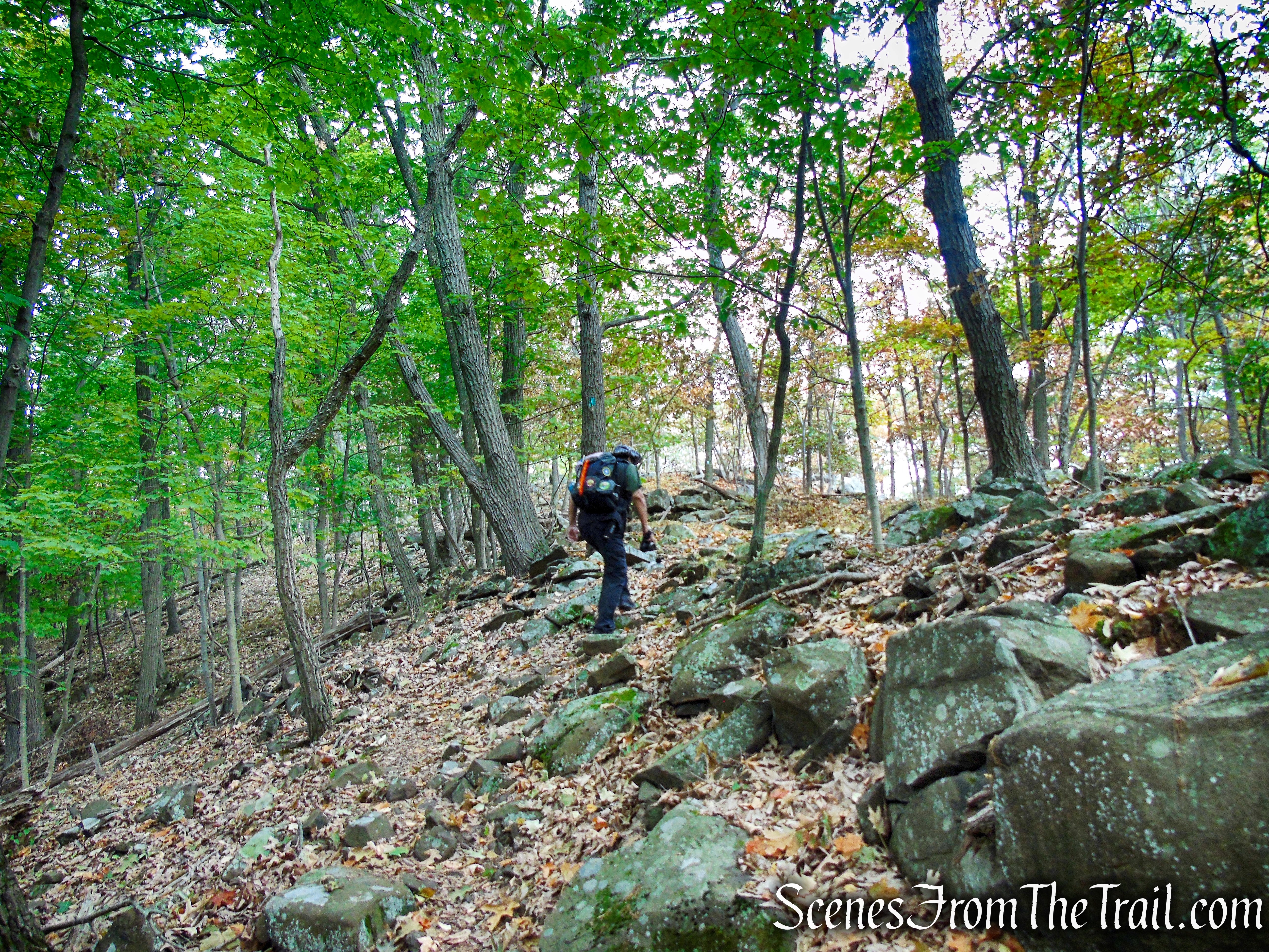 Long Path - South Mountain County Park