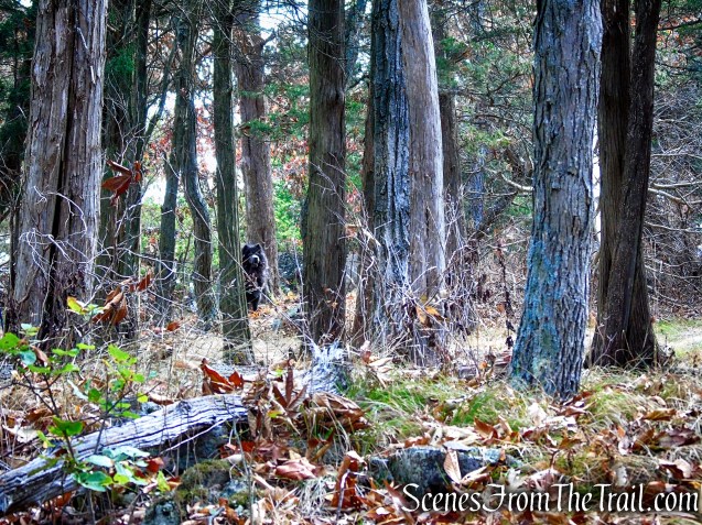 Long Path - South Mountain County Park