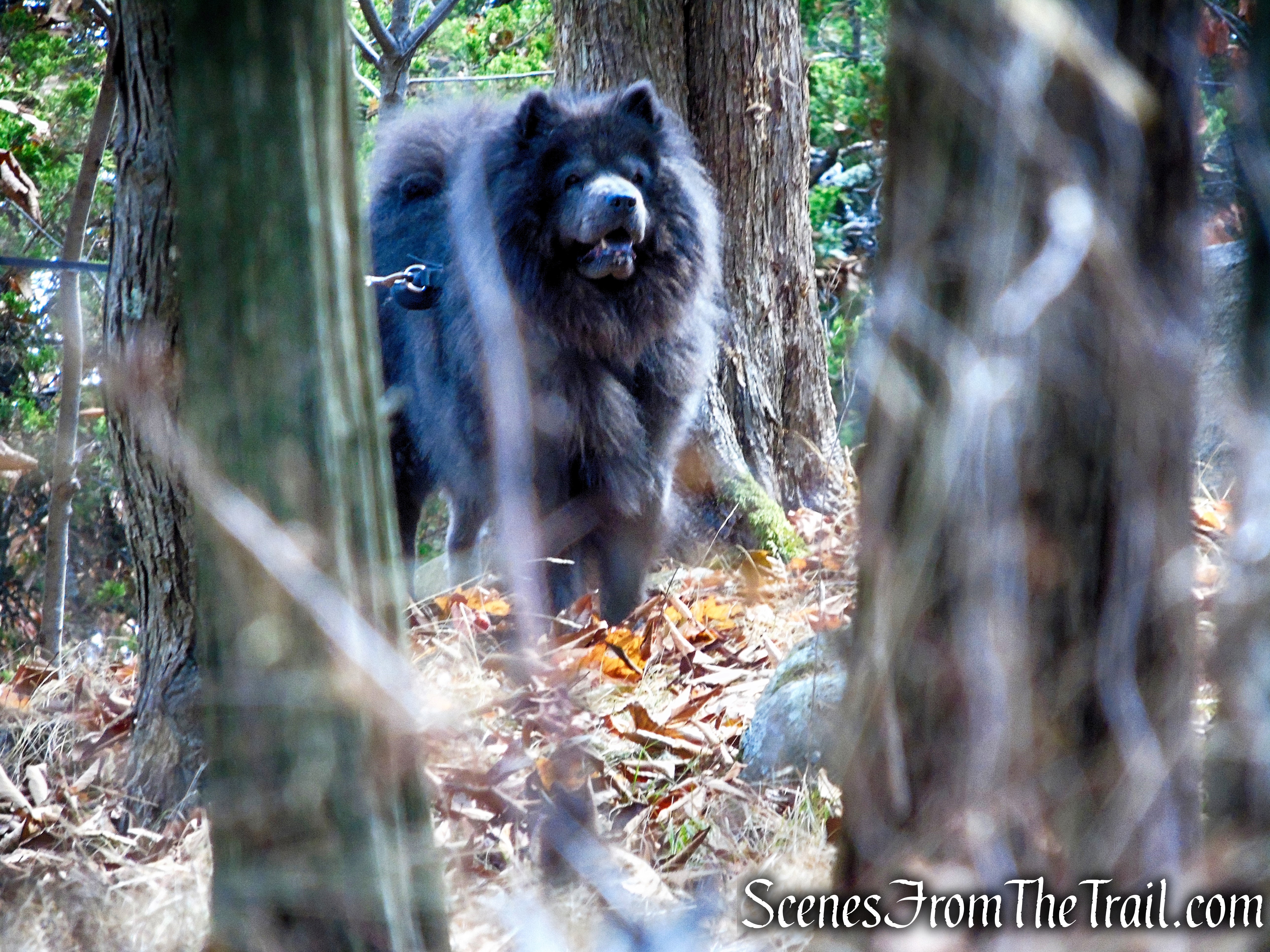 Long Path - South Mountain County Park