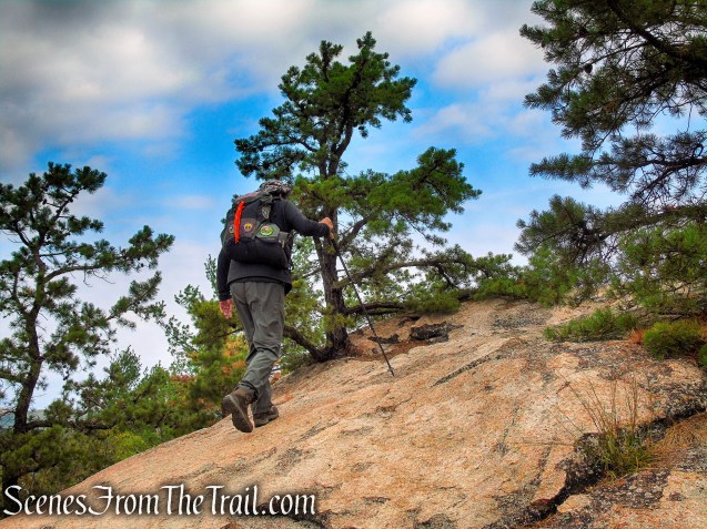 Bear Mountain Summit Loop