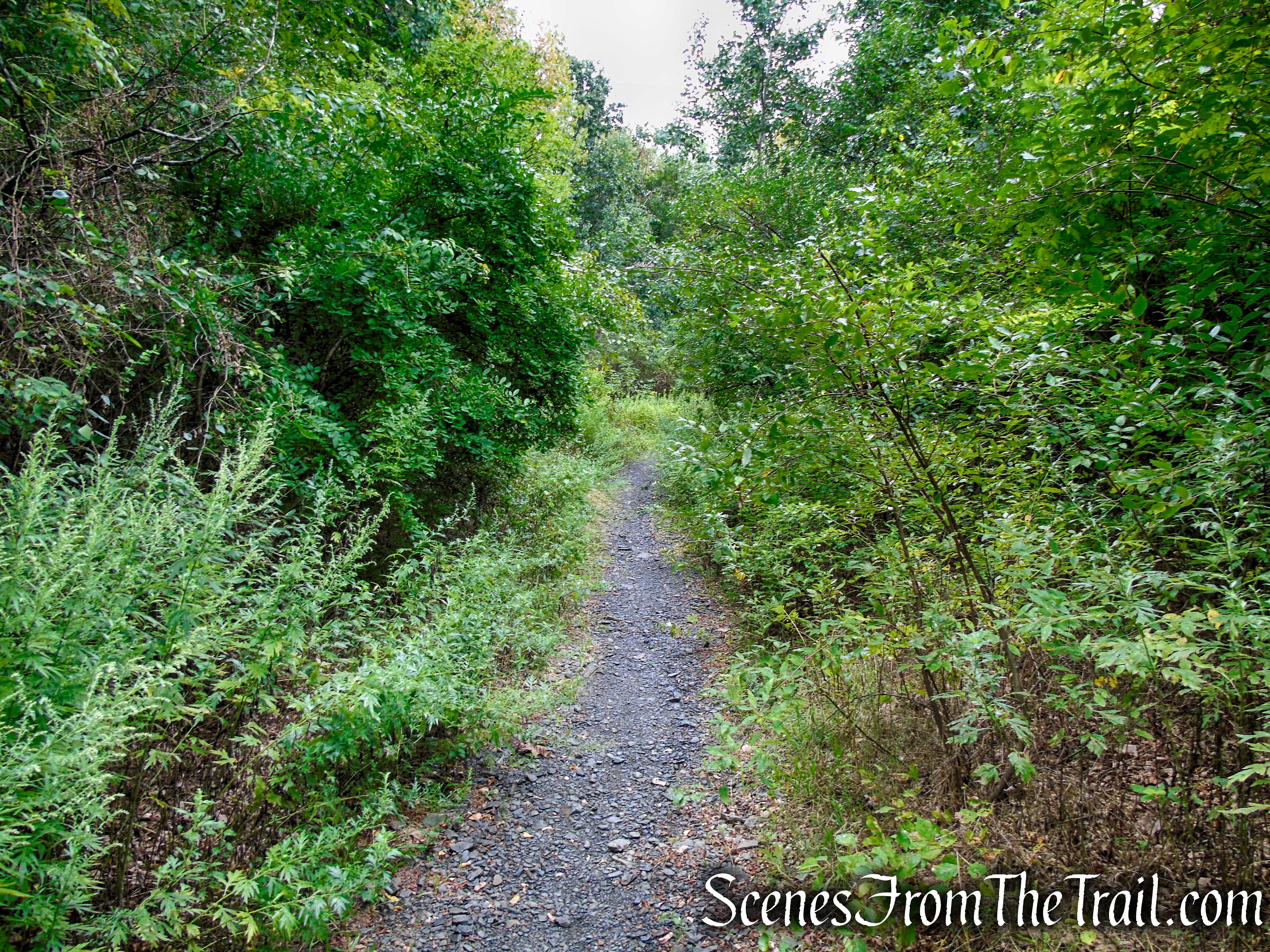 Red Trail - Snake Hill