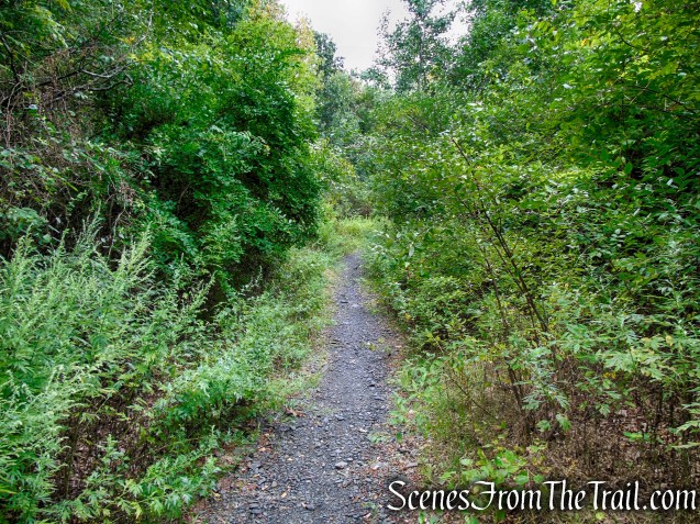 Red Trail - Snake Hill
