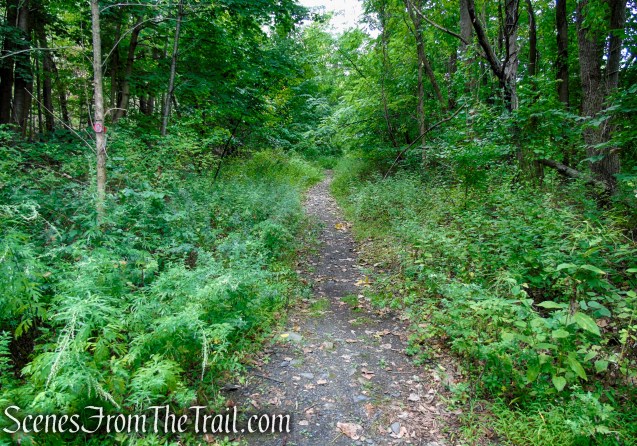 Red Trail - Snake Hill