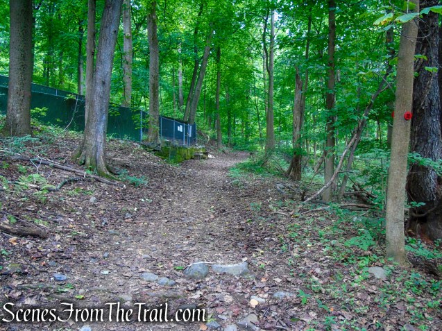 Red Trail - Snake Hill