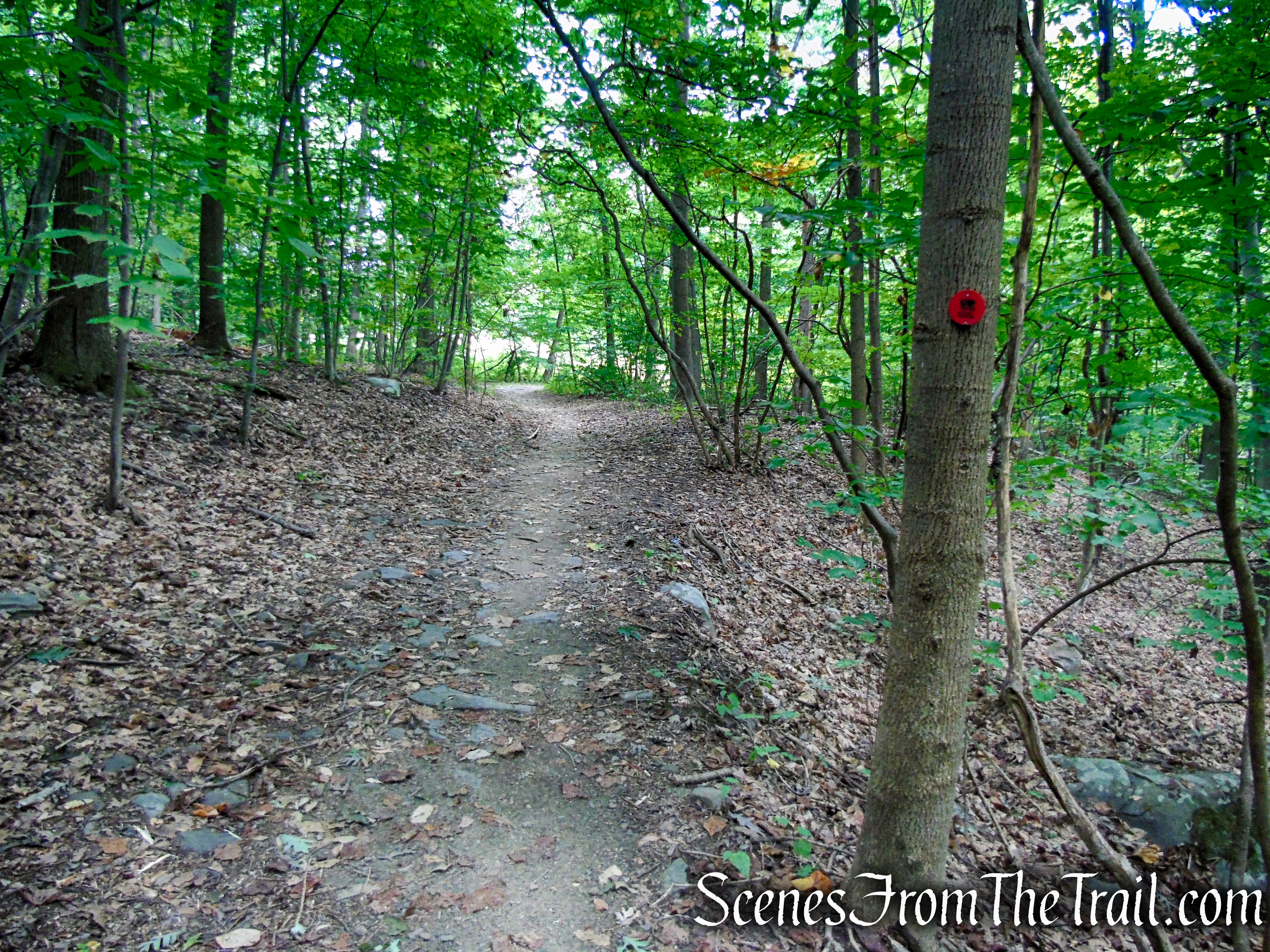 Red Trail - Snake Hill