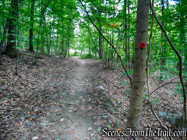 Red Trail - Snake Hill