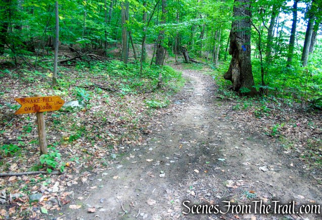 Turn left on Blue Trail