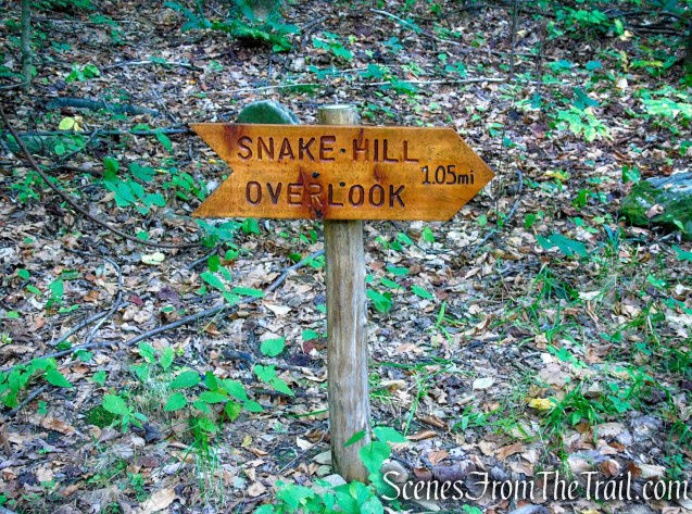 Turn left on Blue Trail