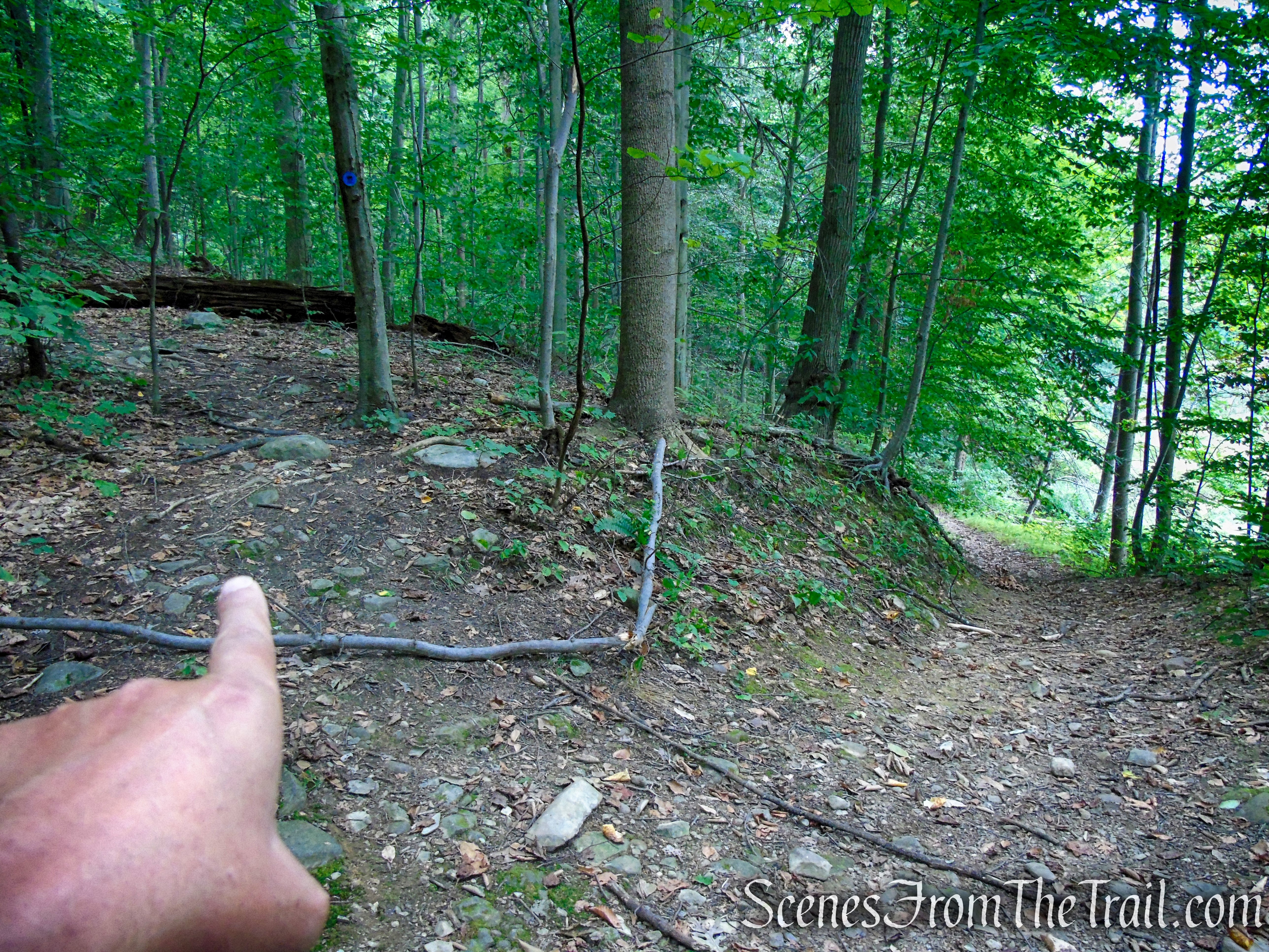 Blue Trail - Snake Hill