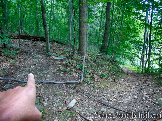 Blue Trail - Snake Hill