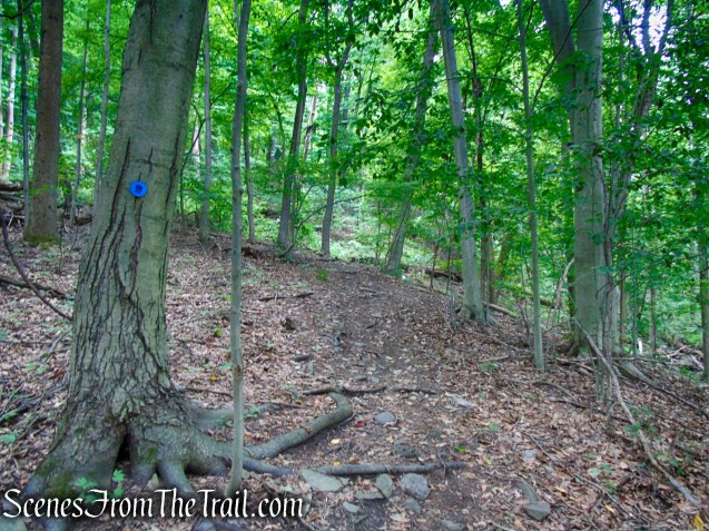 Blue Trail - Snake Hill