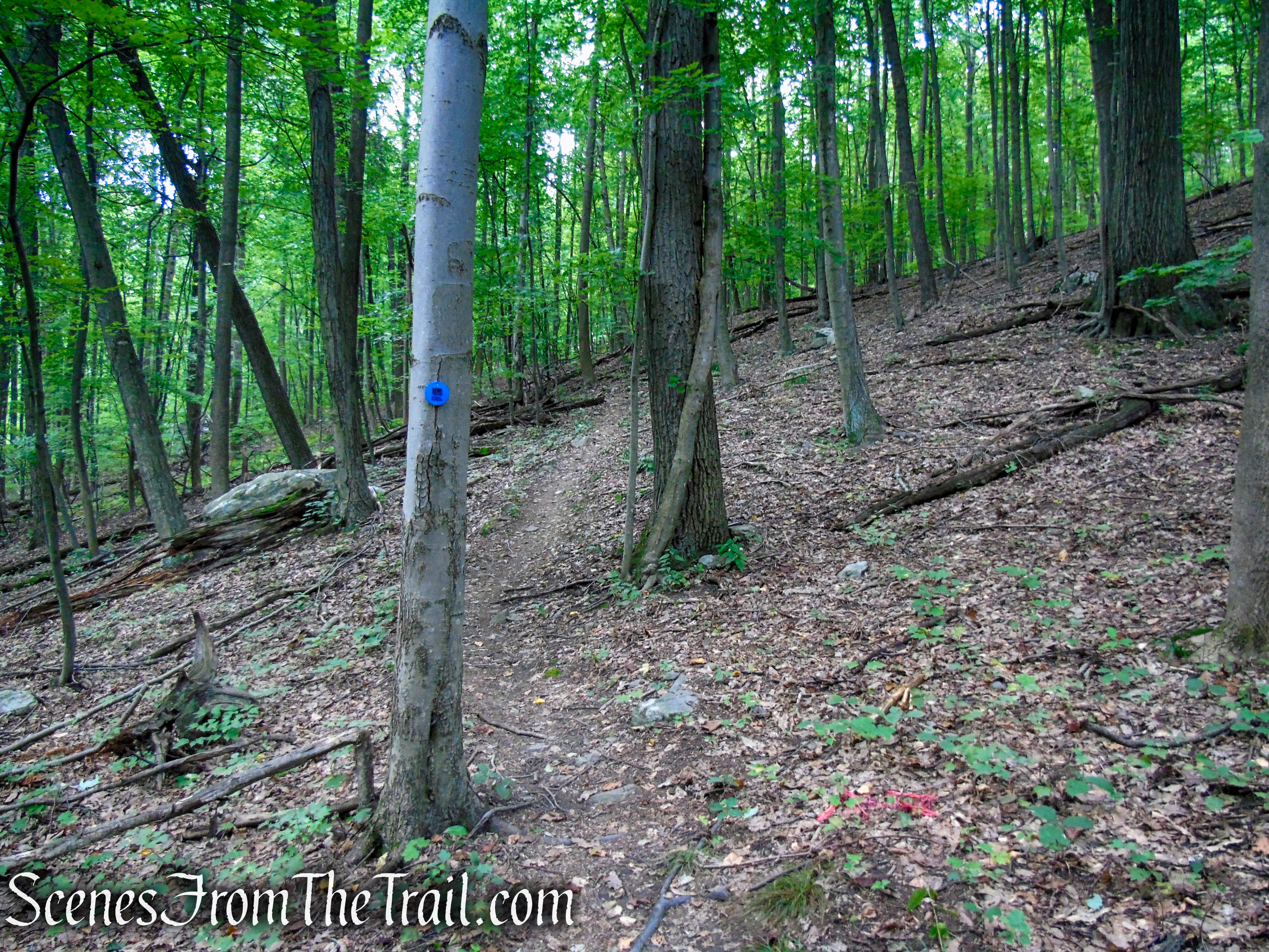 Blue Trail - Snake Hill