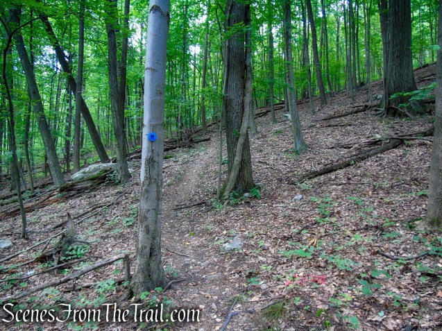 Blue Trail - Snake Hill