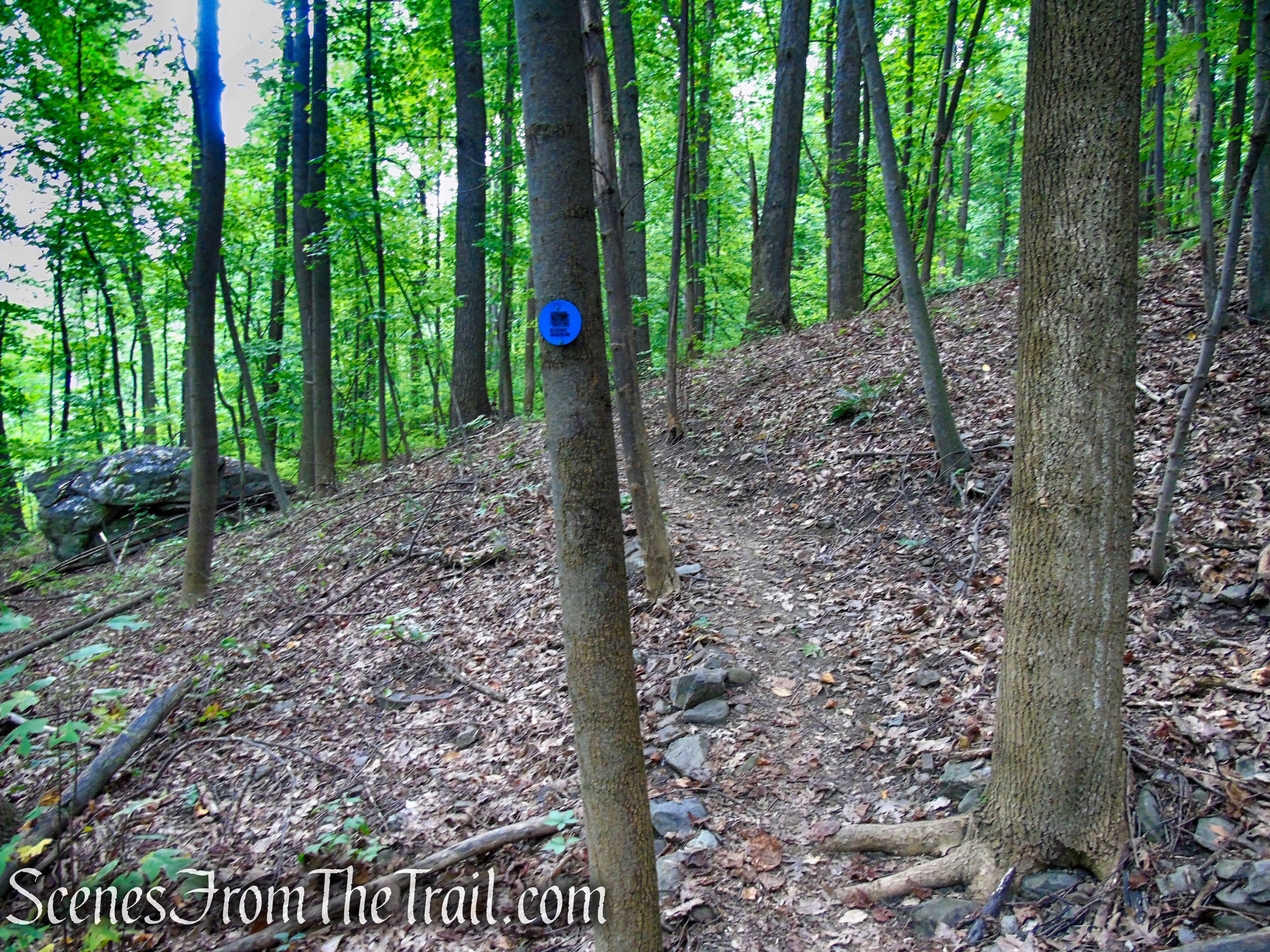 Blue Trail - Snake Hill